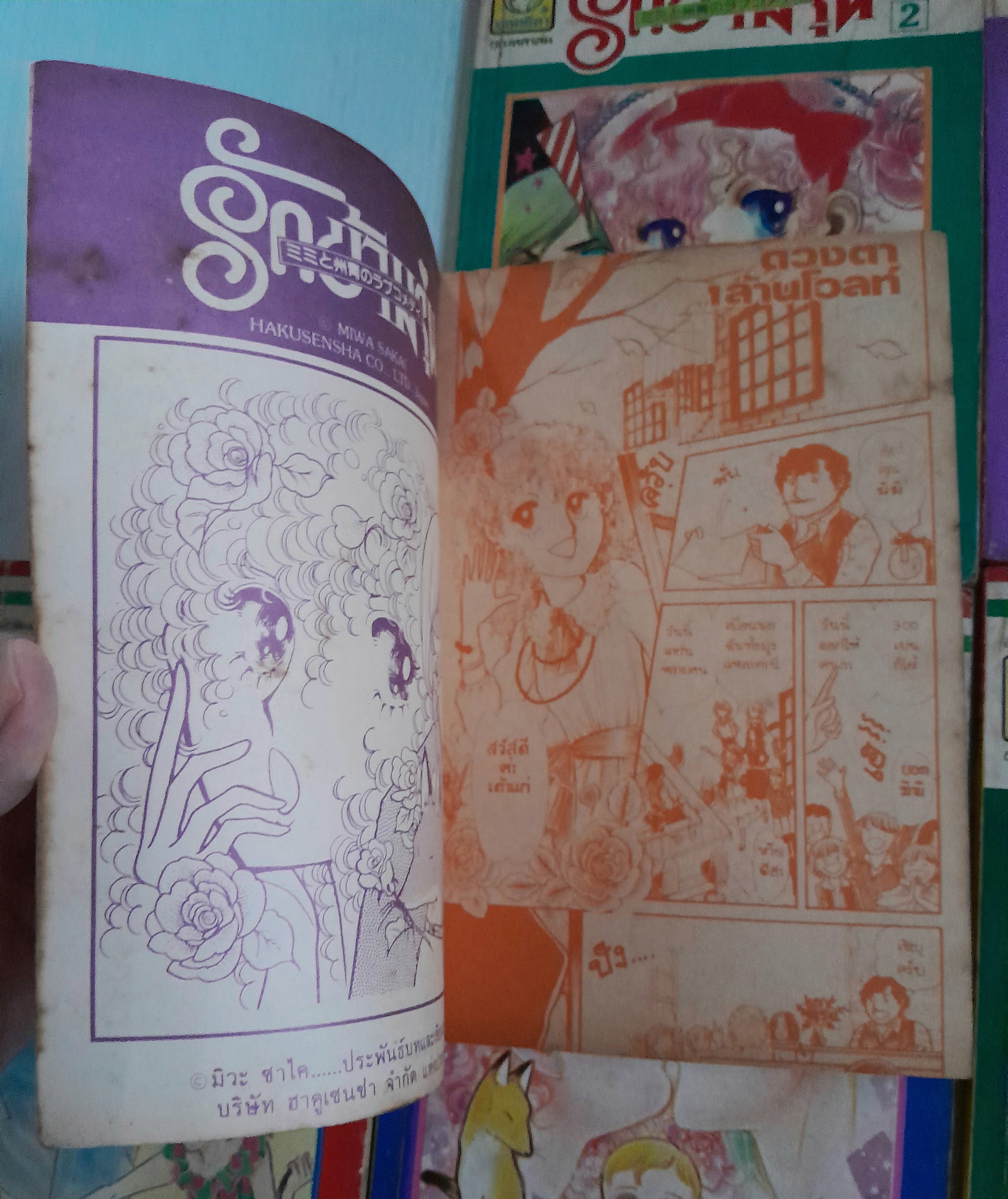 รักข้ามรุ่น 12 เล่มจบ / มิวะ ซาคาอิ