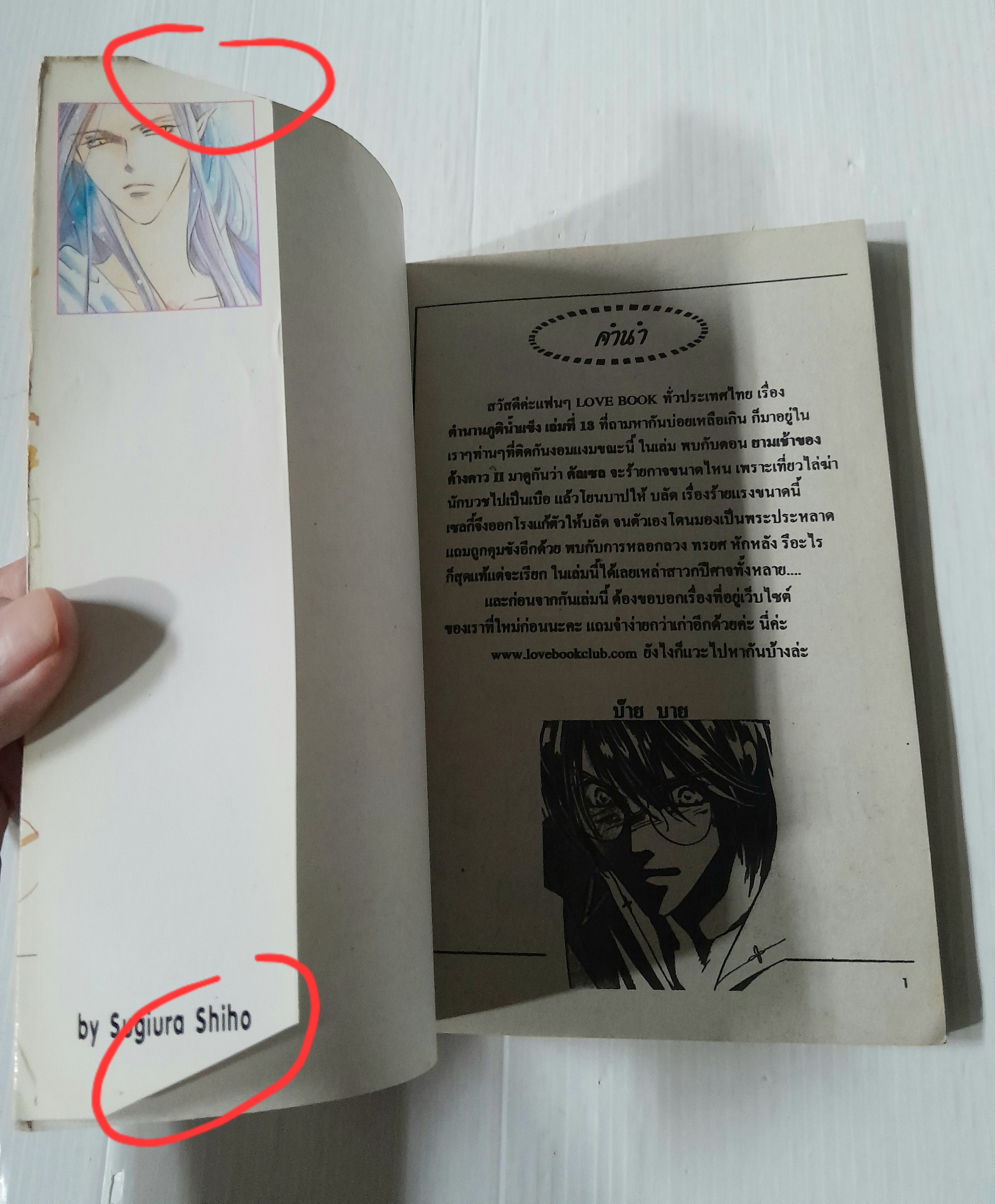 ตำนานภูตน้ำแข็ง เล่ม 13 (เล่มเดียวจบ) / Sugiura Shiho