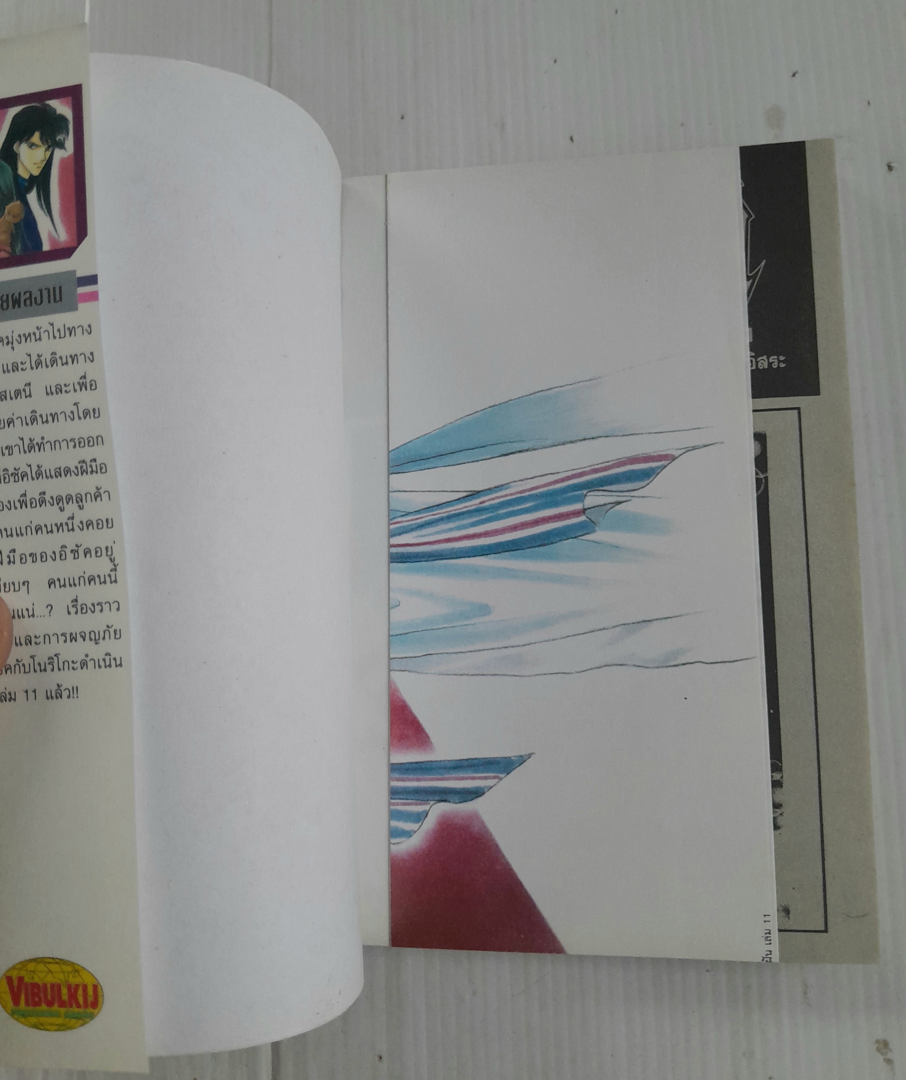 จอมคนแดนฝัน เล่ม 1-11 (14 เล่มจบ) / ฮิคาวะ เคียวโกะ