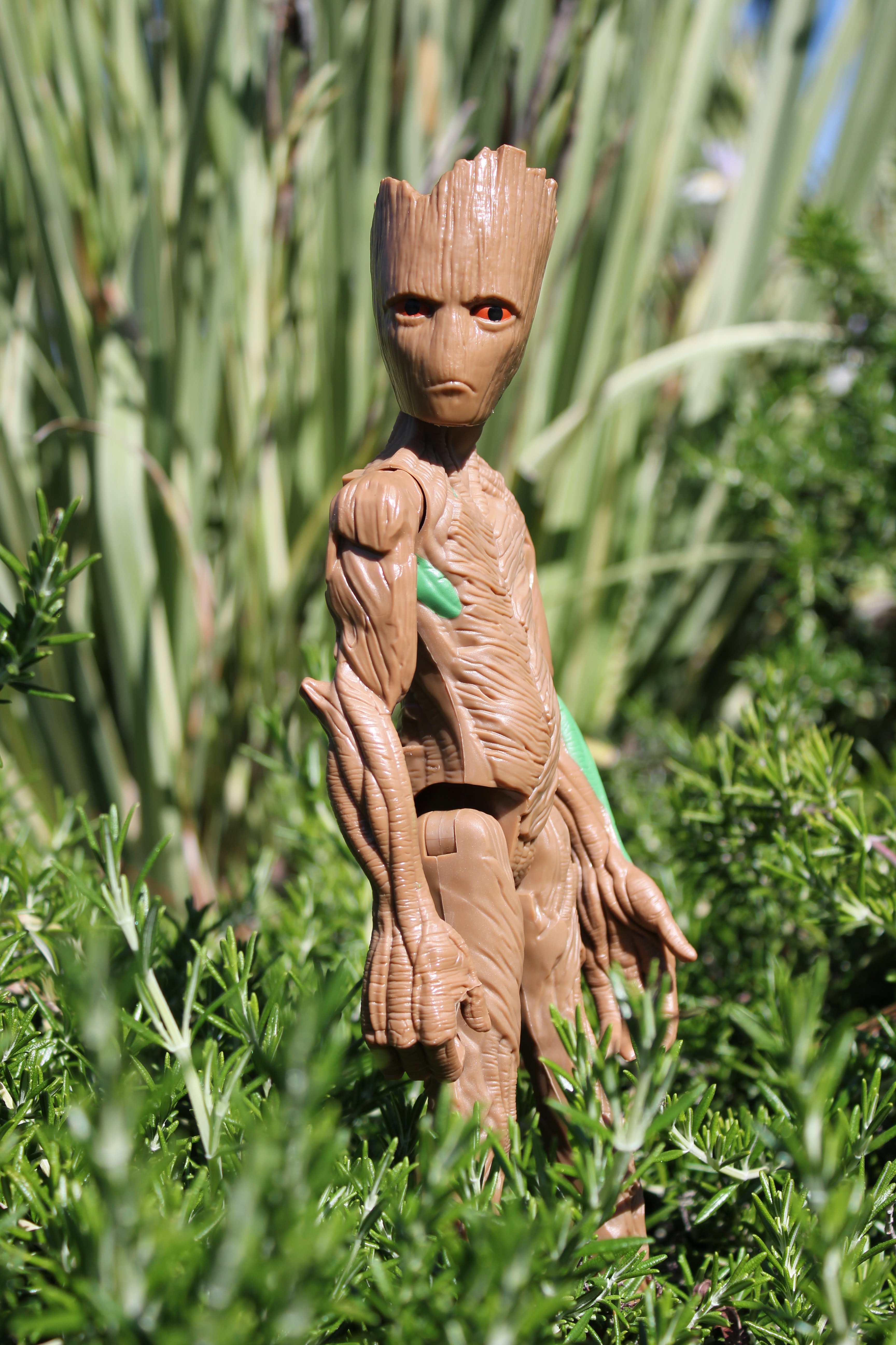 GROOT! the big one
