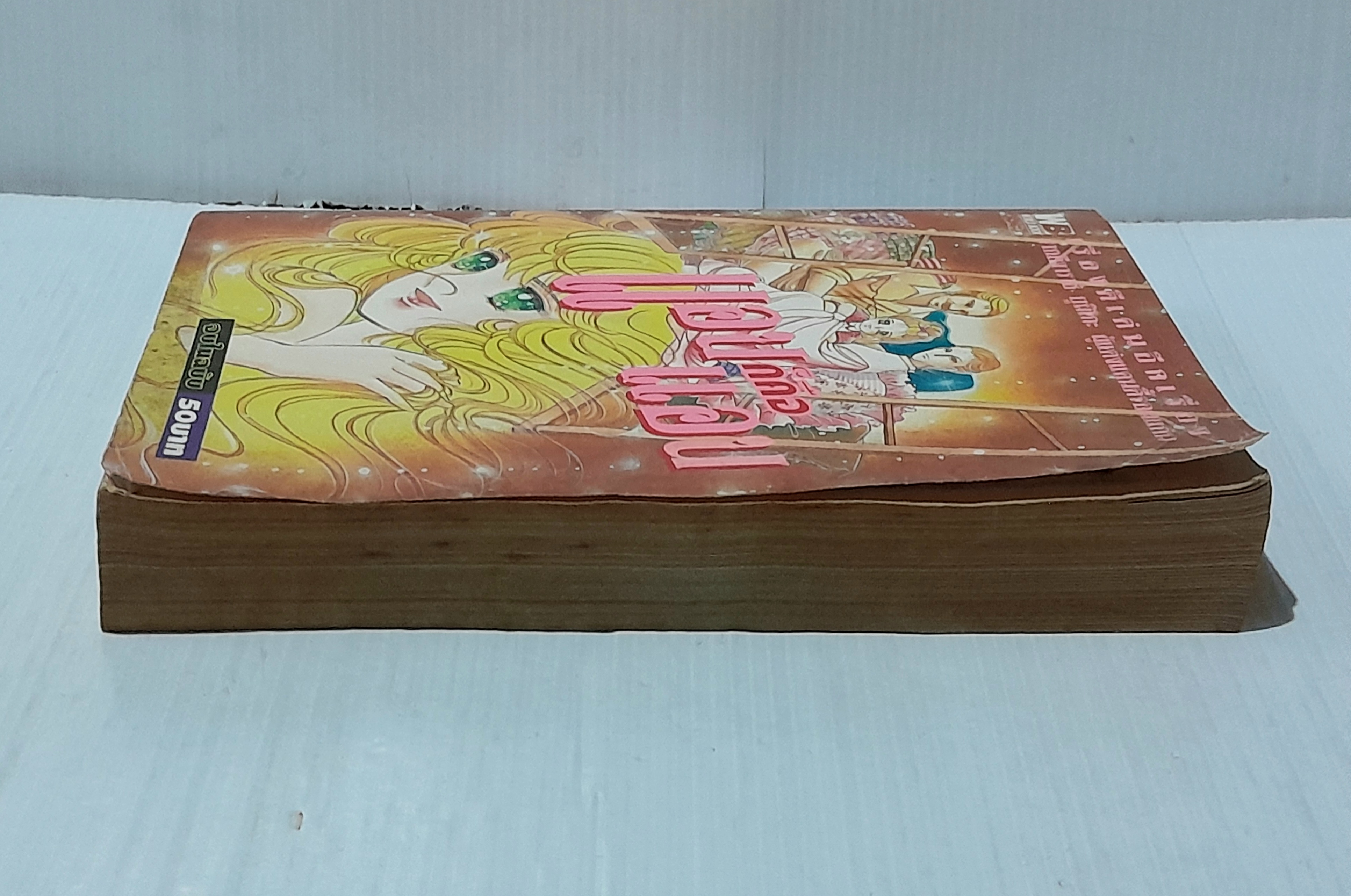 แอนก็คือแอน (เล่มเดียวจบ) / อิงาราชิ ยูมิโกะ