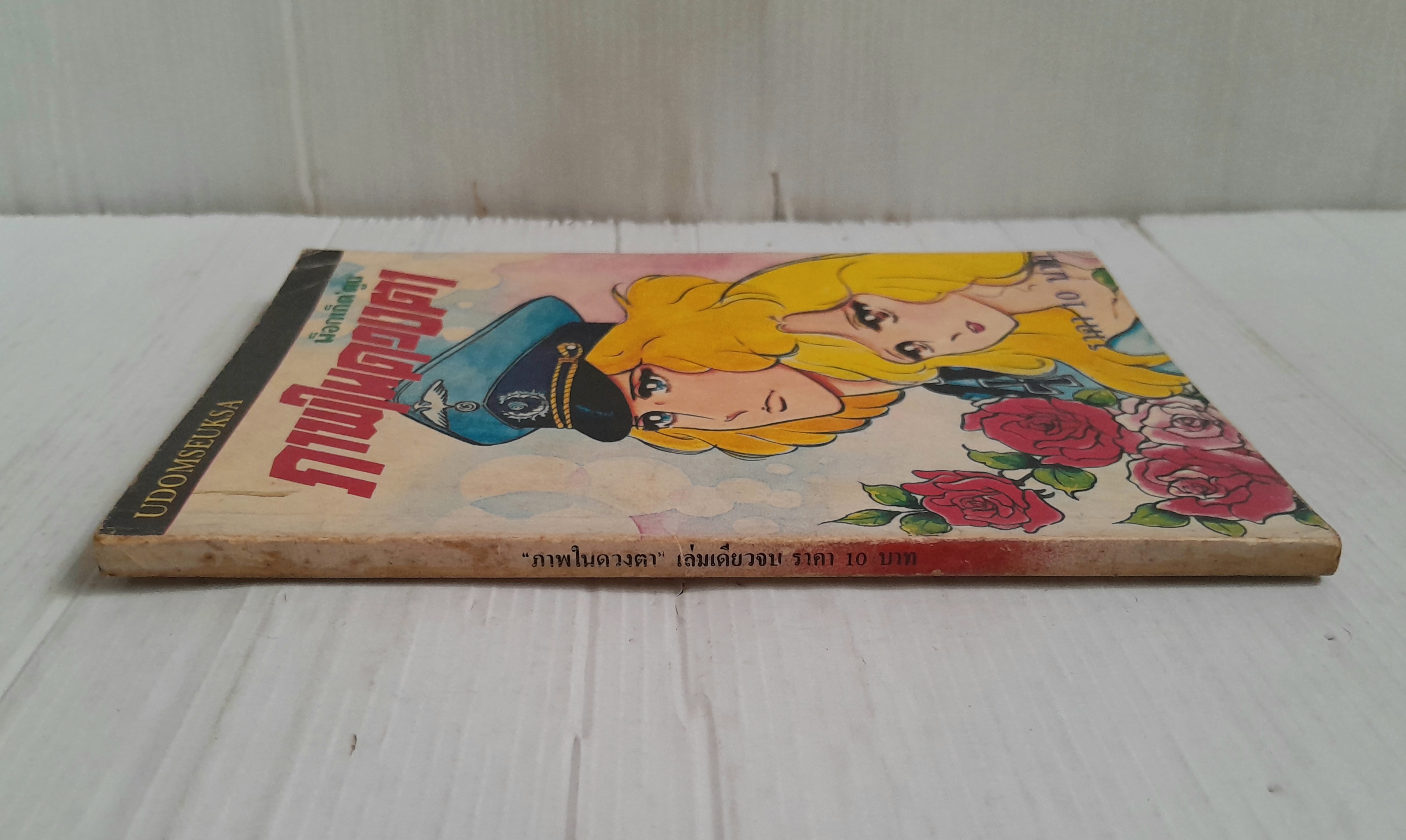 ภาพในดวงตา (เล่มเดียวจบ)