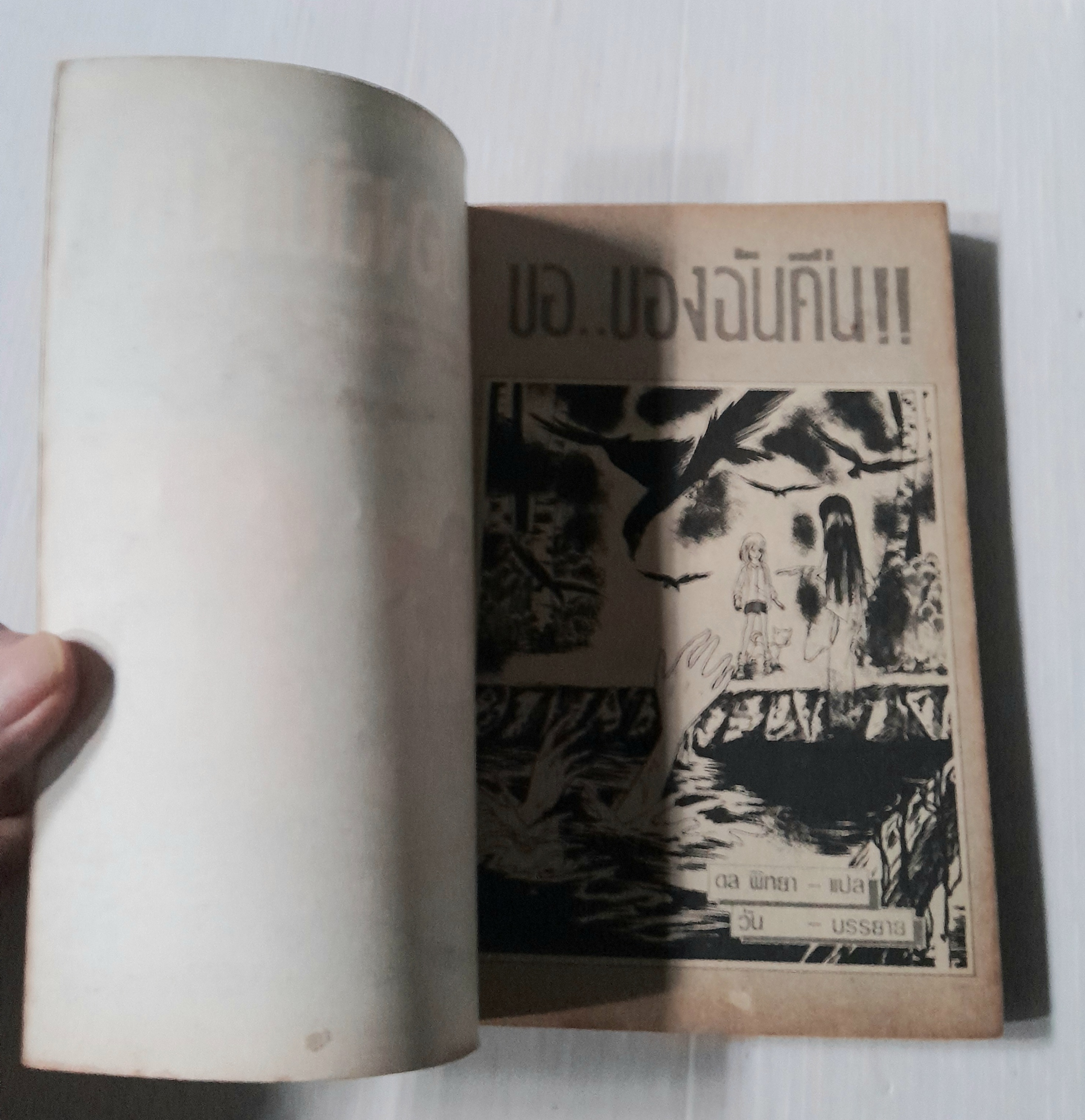 ขอ..ของฉันคืน (เล่มเดียวจบ)