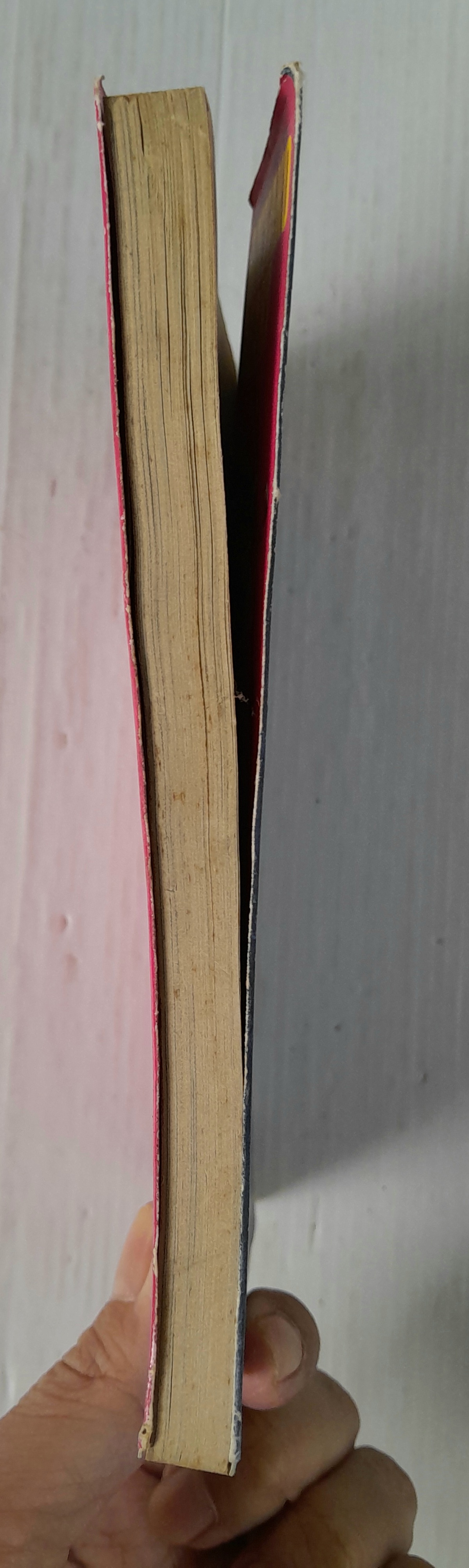 ซาโลเม (เล่มเดียวจบ) / Miyako Maki