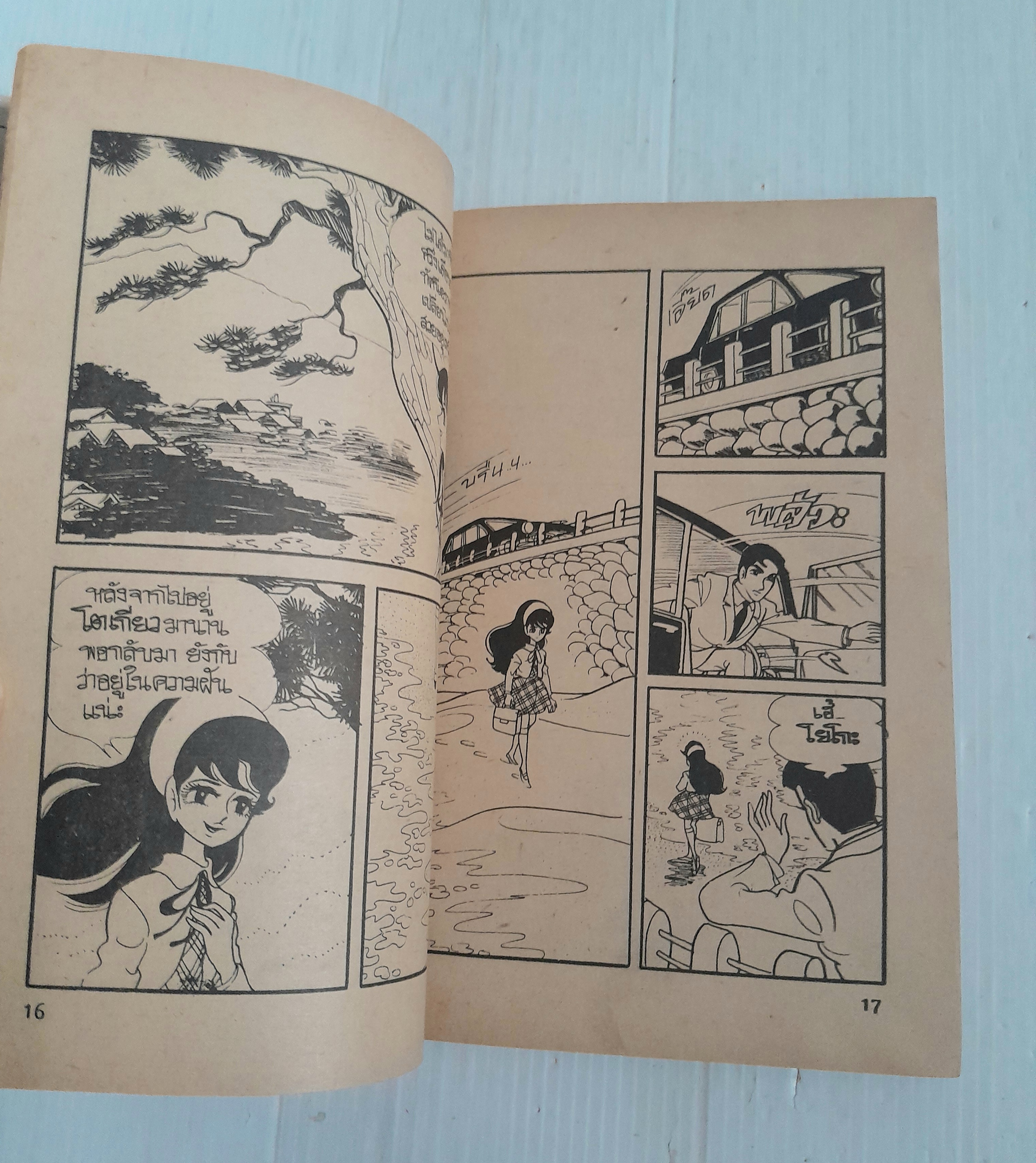 แรงอาฆาตตุ๊กตาผี (เล่มเดียวจบ)