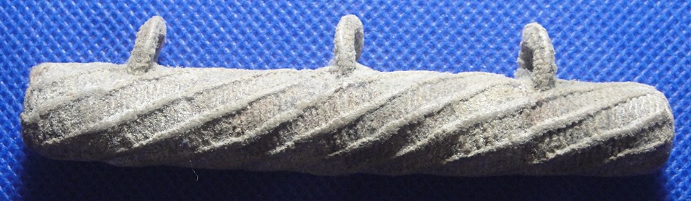 ตะกรุดหนังเสือ