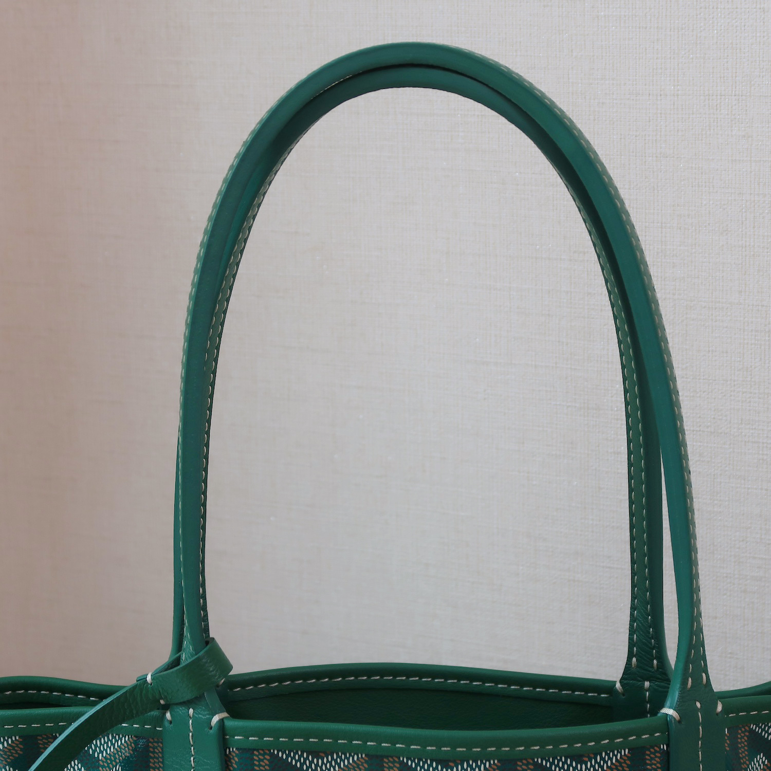 Goyard Green Monogram Anjou Mini Bag (2024)