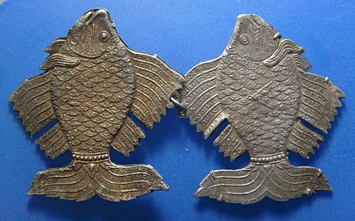 ปลาตะเพียนหลวงพ่อจง