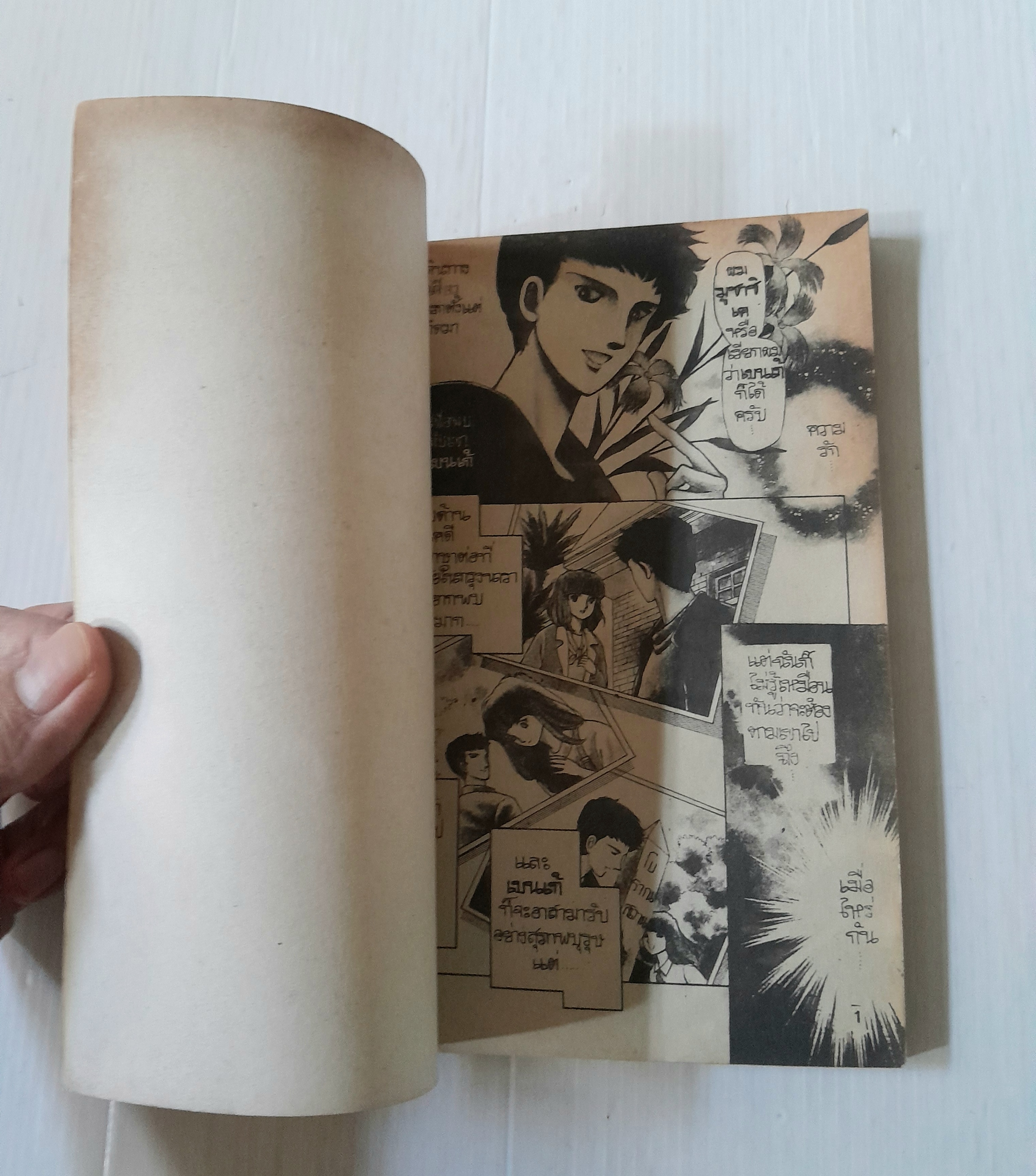 เปลวเพลิงคืนสีม่วง (เล่มเดียวจบ) / ฮาระ จิเอโกะ