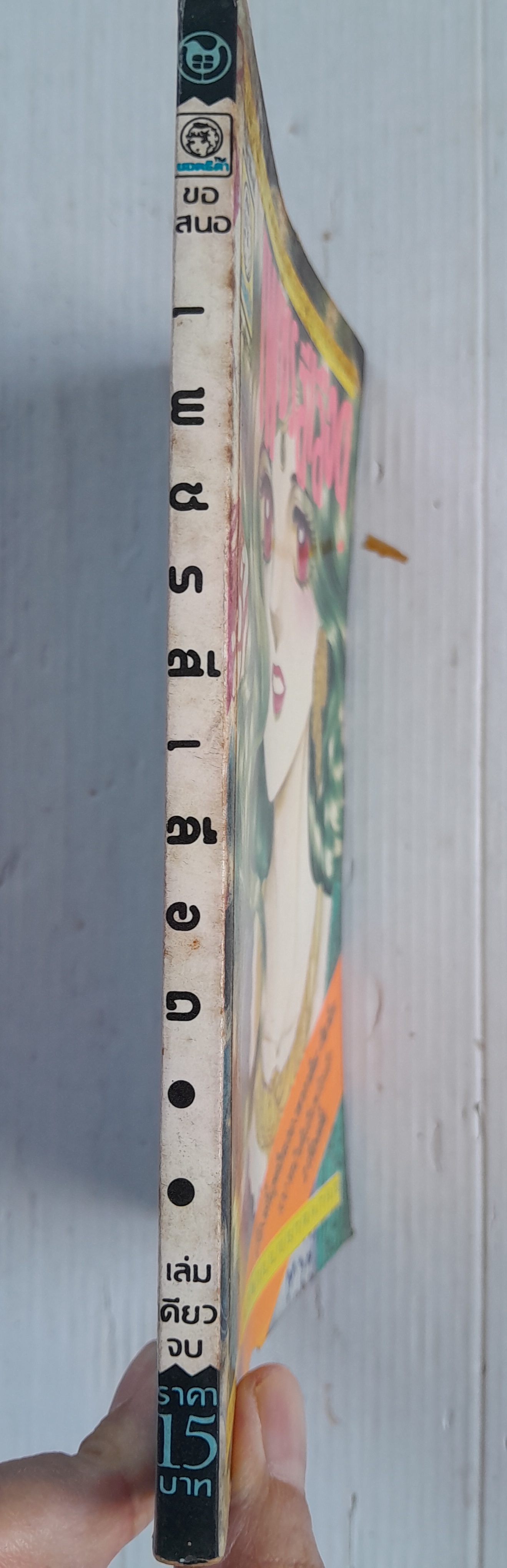 เพชรสีเลือด (เล่มเดียวจบ) / ทากาชินะ เรียวโกะ