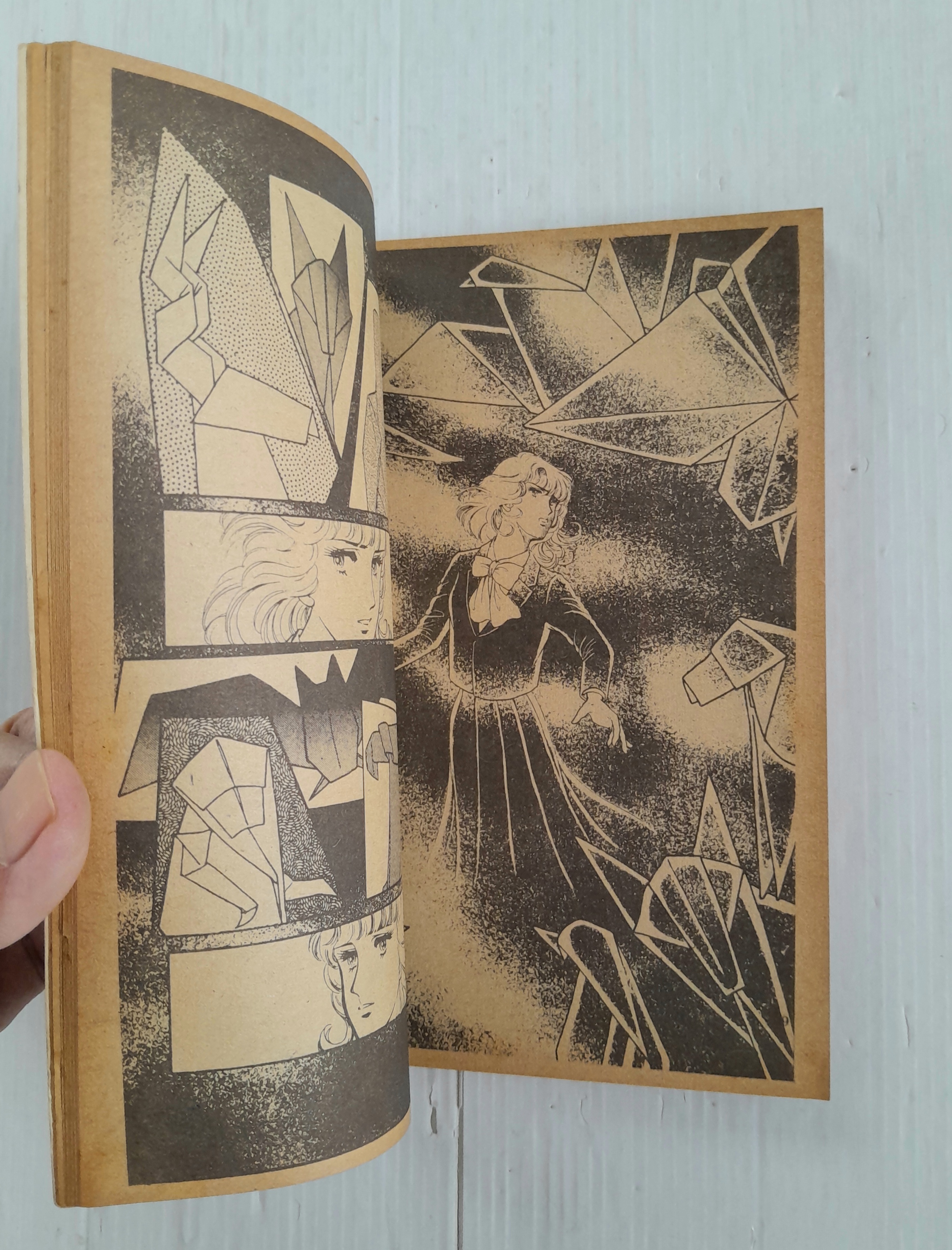 กระดาษพับต้องสาป (เล่มเดียวจบ) / Kasakabe Yoko