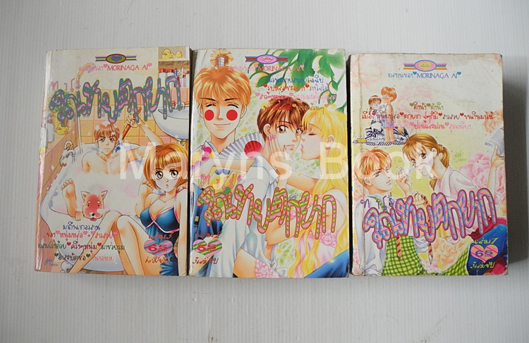 ทาโร่คุณชายตกยาก 3 เล่มจบ / Morinaga Ai