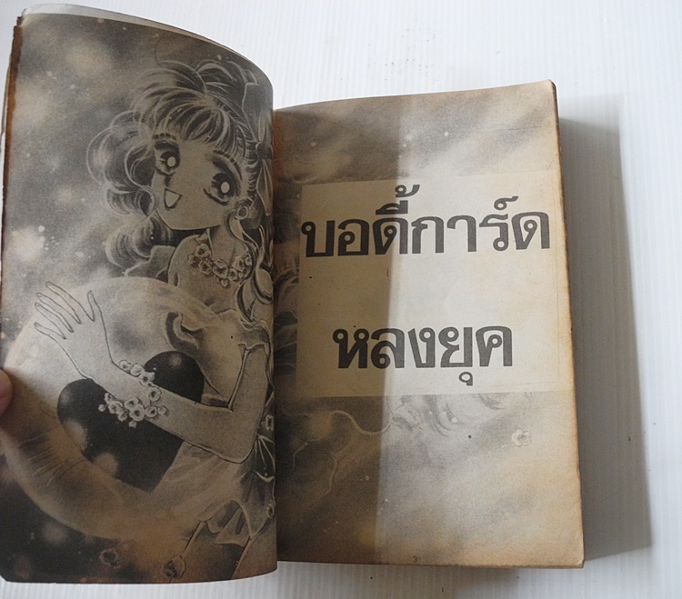 บอดี้การ์ดหลงยุค (เล่มเดียวจบ) / EMIKO SUGI