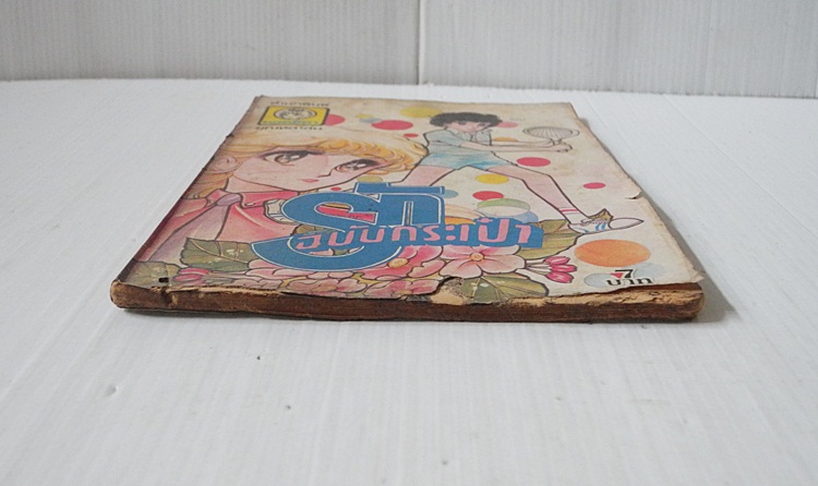 รักฉบับกระเป๋า (เล่มเดียวจบ)