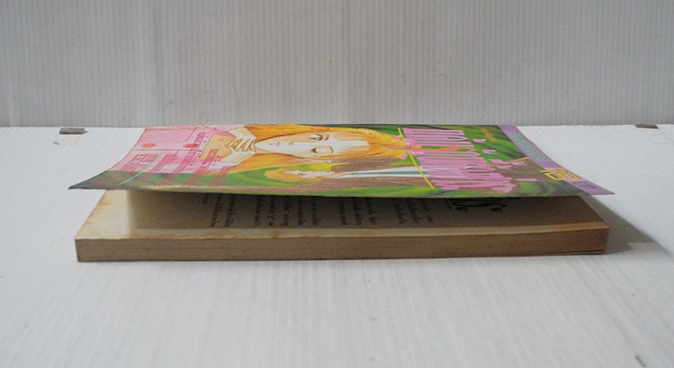 แค้นรักนี้ต้องชำระ (เล่มเดียวจบ) / Kikukawa Chikako