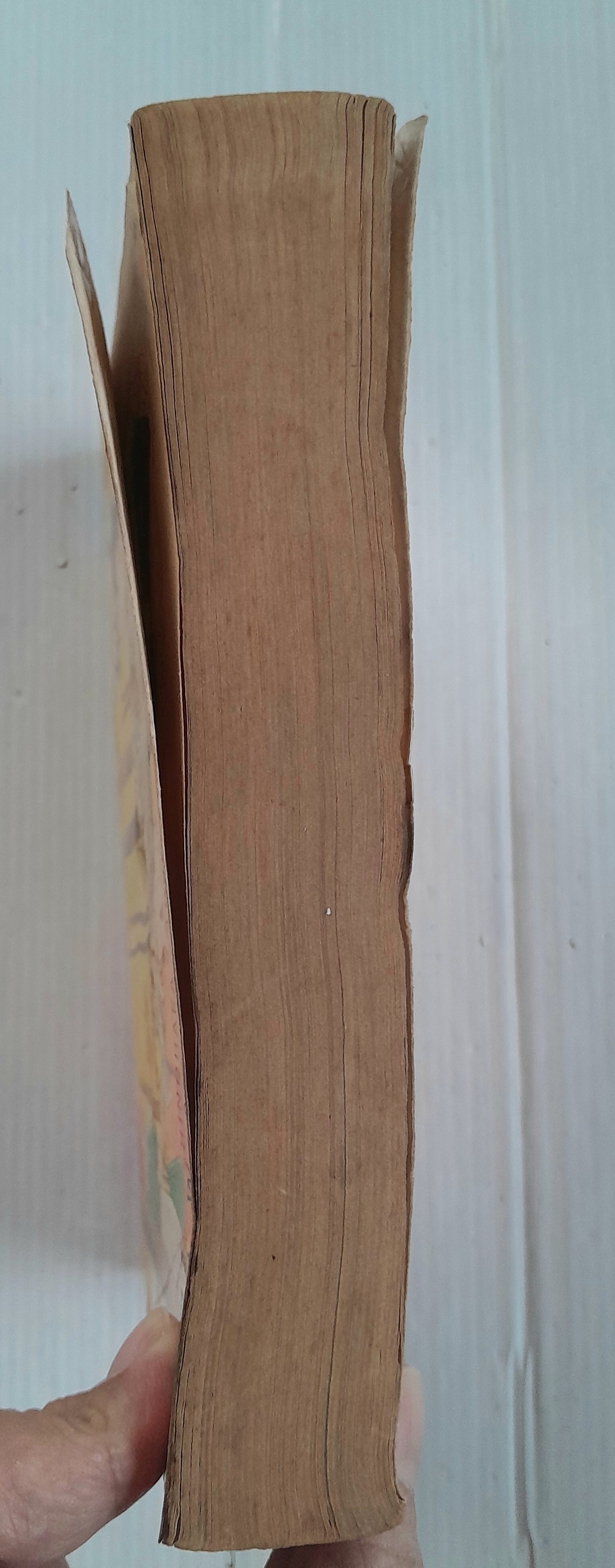 เมื่อสายลมรักพัดผ่าน (เล่มเดียวจบ) / ฮิคาวะ เคียวโกะ