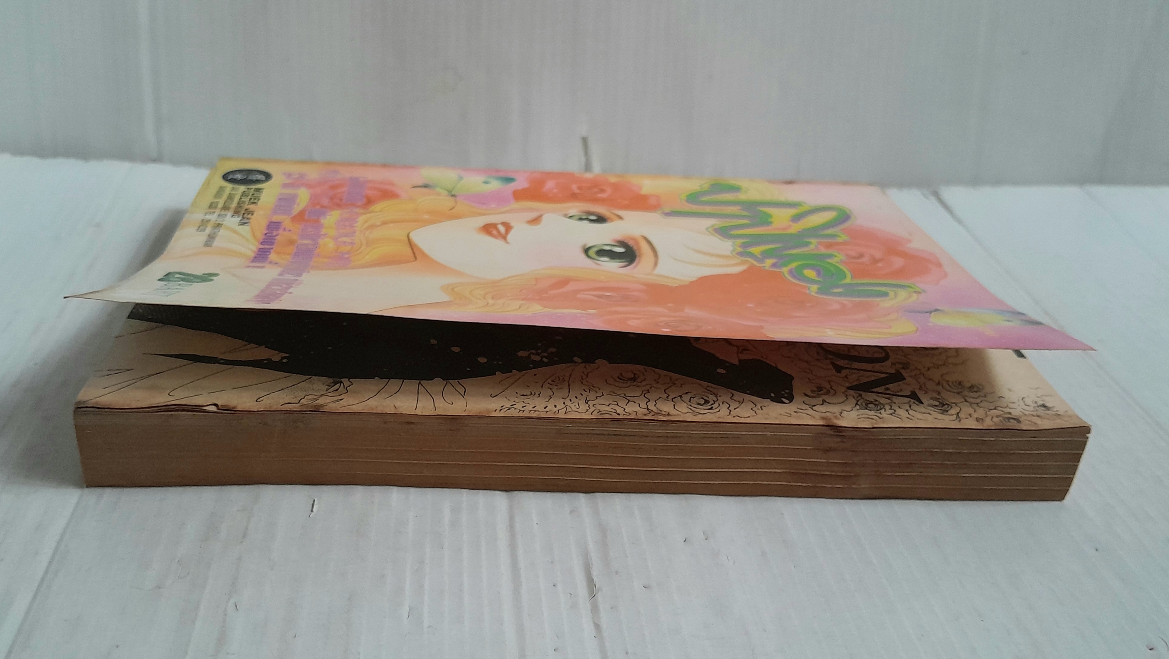 ปาปิญอง (เล่มเดียวจบ) / Monoka Mari