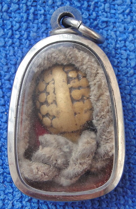 เต่าหลวงพ่อเงิน