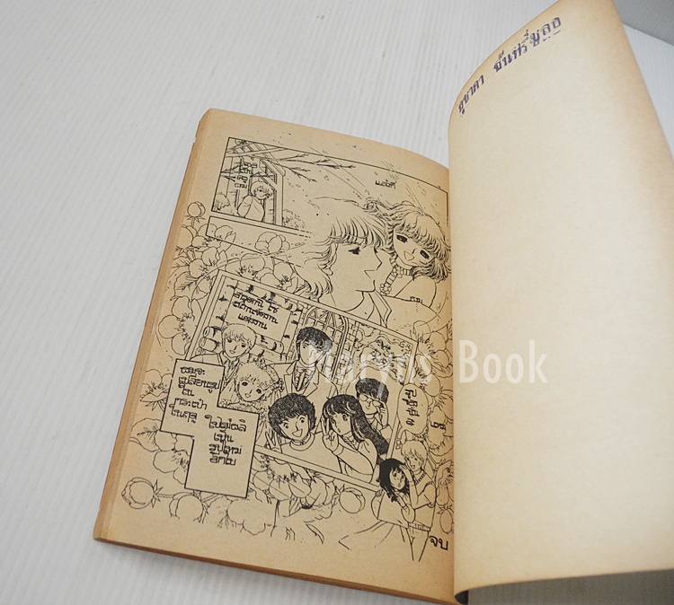 แอปเปิ้ลแม่มดที่รัก เล่ม 3 (3 เล่มจบ) / ทาคาโกะ ชิม่า