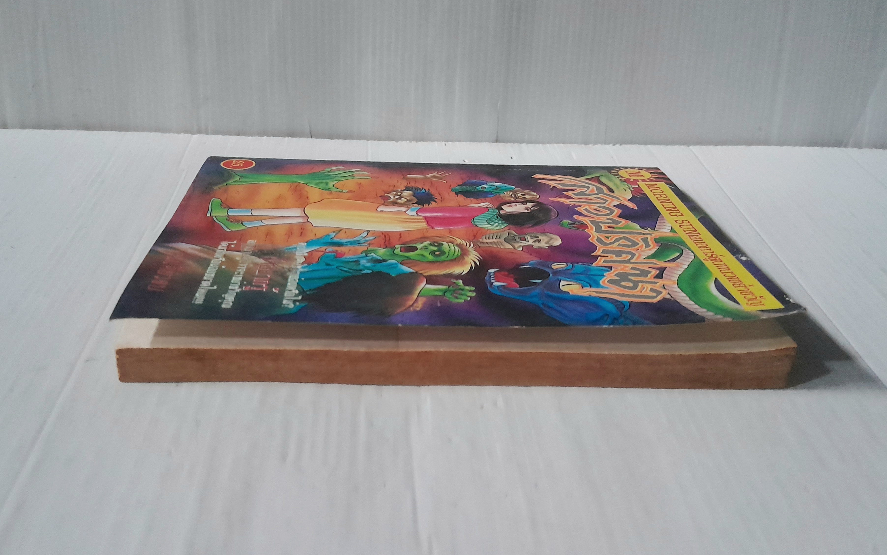 สาวปริศนา (เล่มเดียวจบ)