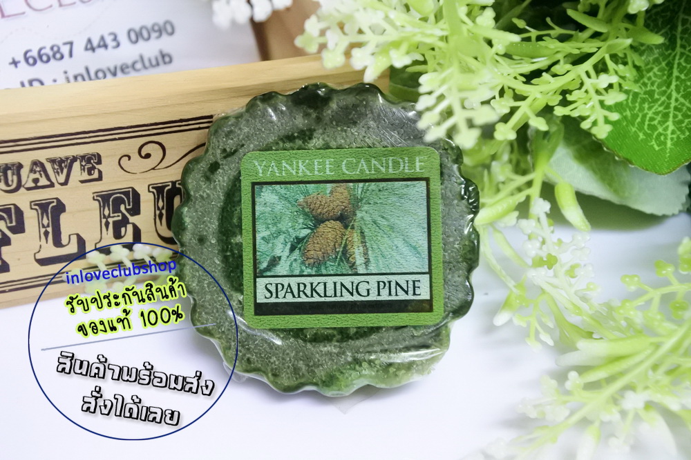 Yankee Candle / Tarts Wax Melts 22 g. (Sparkling Pine)