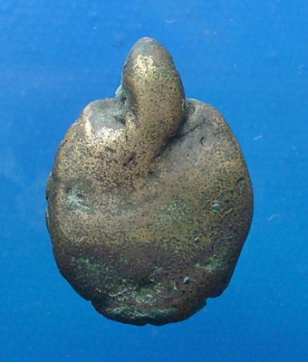 เต่าหลวงพ่อเงิน