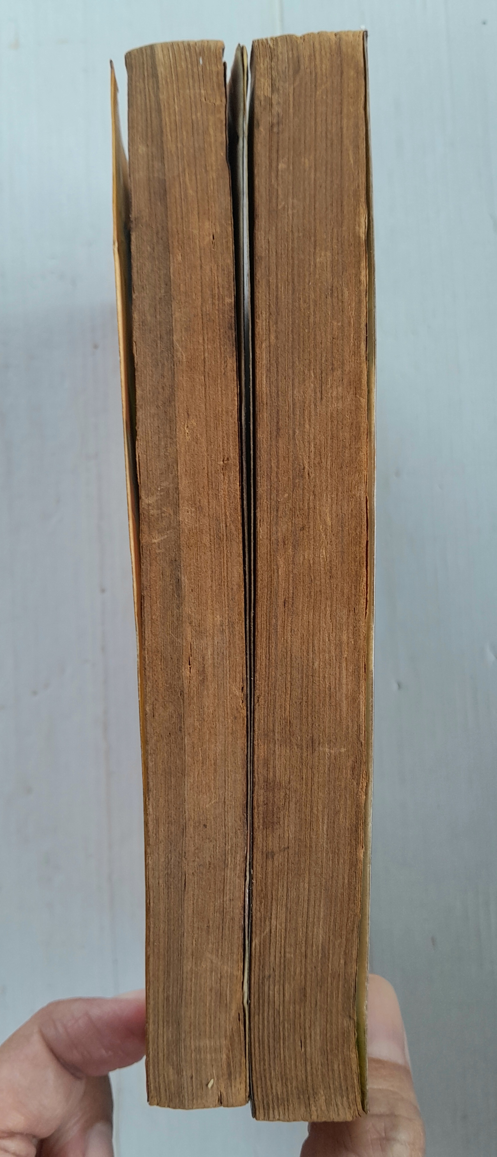 H.I.P. (เล่มเดียวจบ)