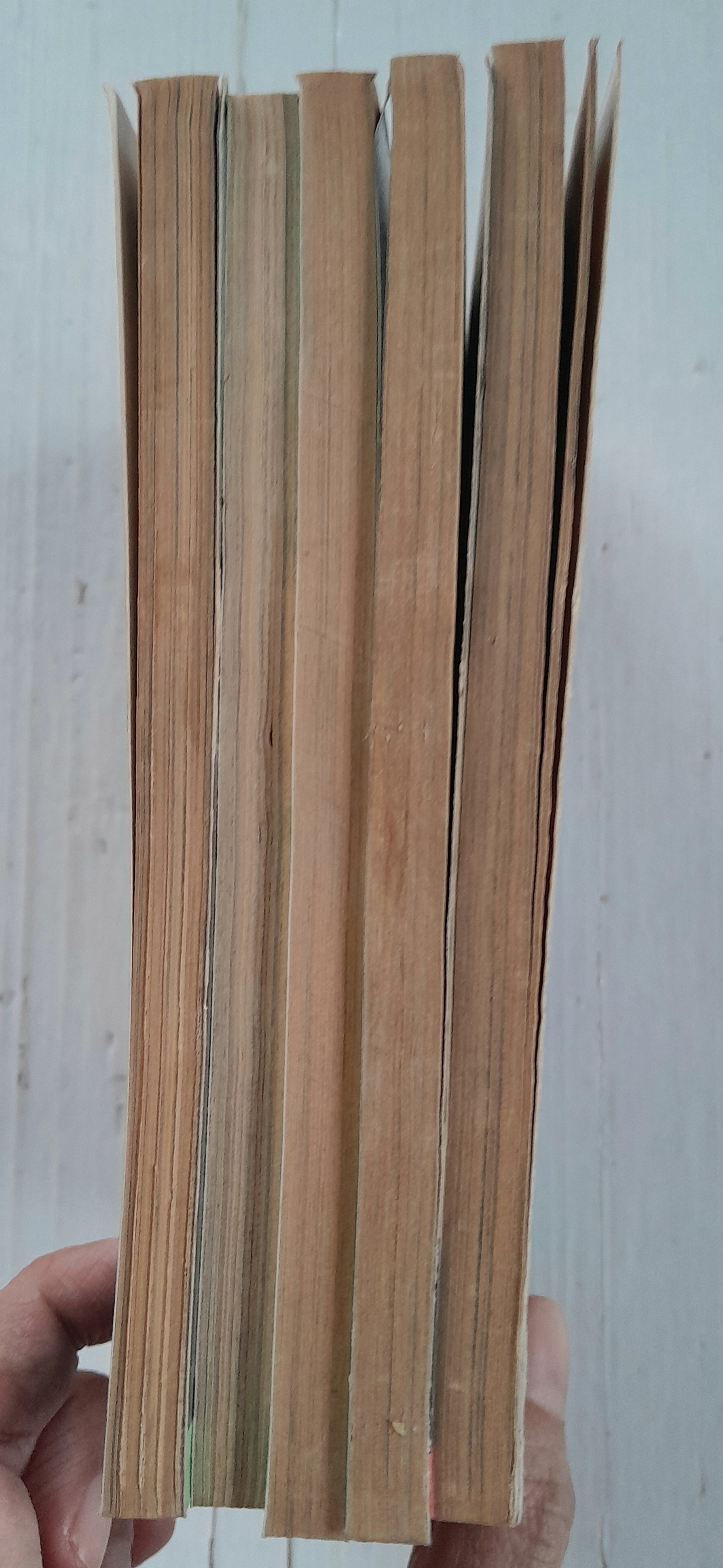 สำนักงานบริการปราบผี 5 เล่มจบ / Akino Matsuri