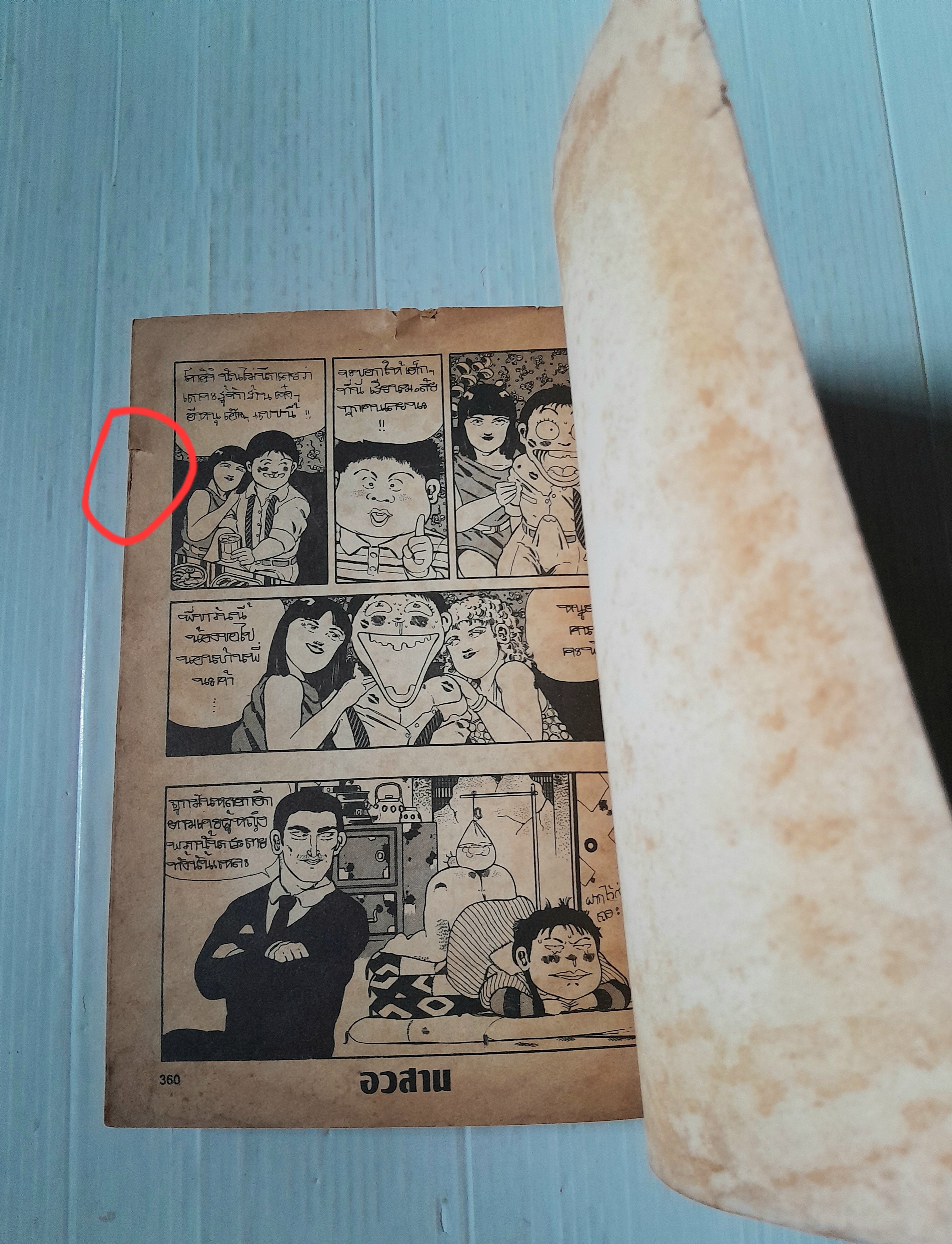 2 คนขยุ้มหลังคา (เล่มเดียวจบ) / Masayo Tokushiro