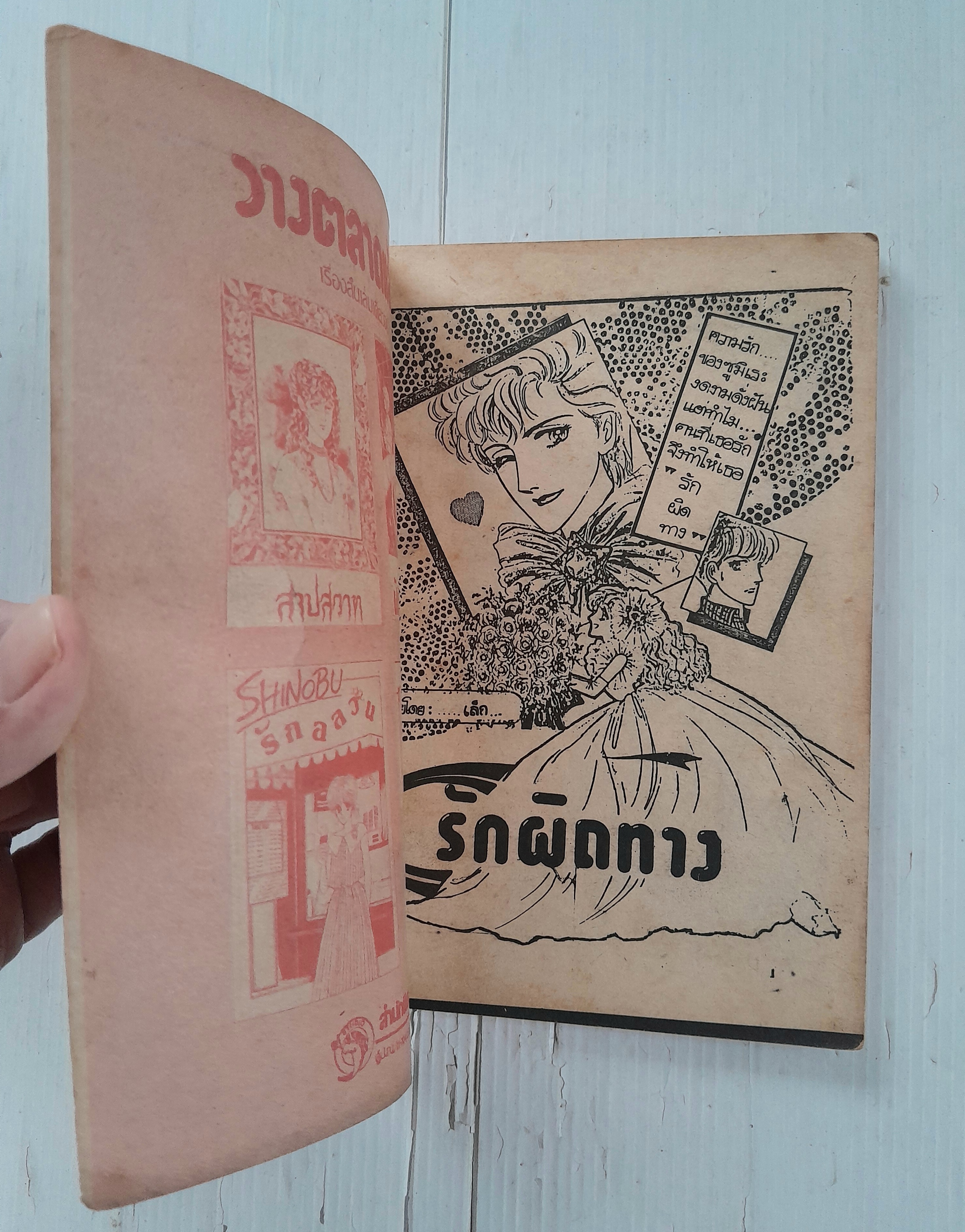 รักผิดทาง (เล่มเดียวจบ)