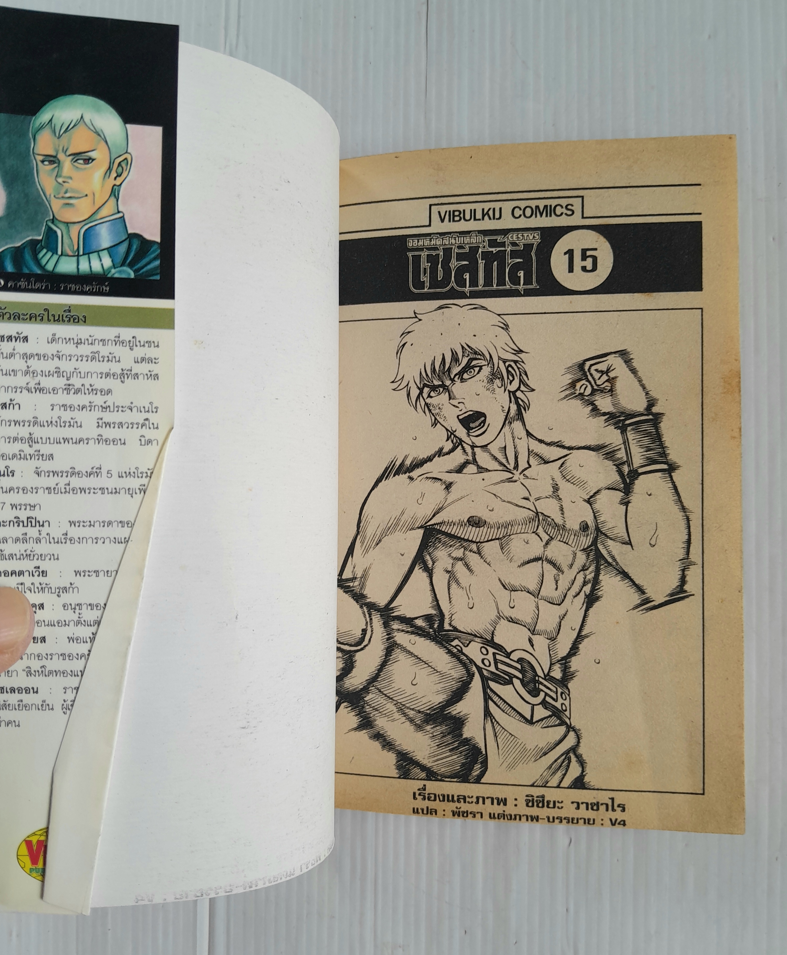 จอมหมัดสนับเหล็ก เซสทัส เล่ม 15 (15 เล่มจบ) / ชิซึระ วาซาไร