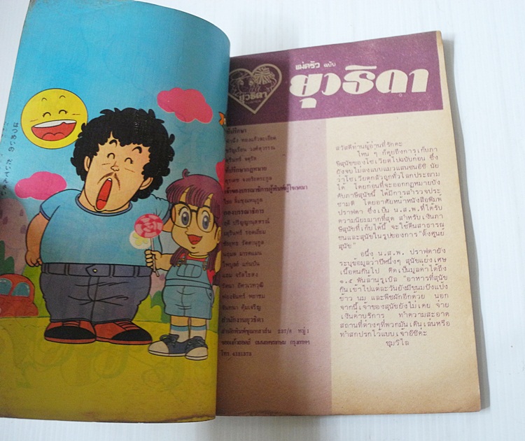 แมวแสนซน เล่ม 2 (2 เล่มจบ)