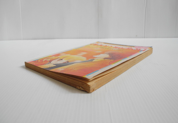 สมุดภาพสีเงิน / ฮิคาวะ เคียวโกะ