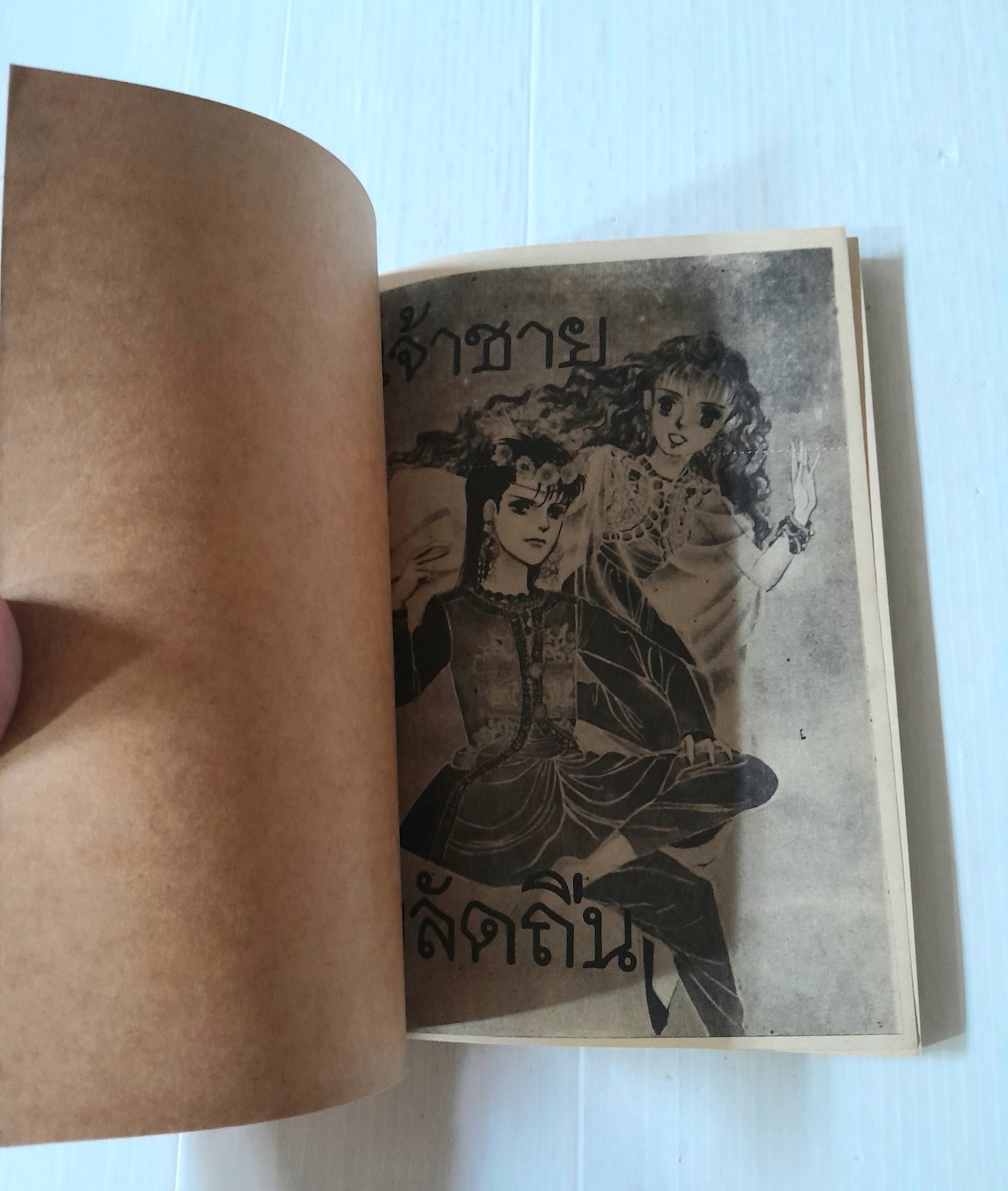 เจ้าชายพลัดถิ่น (เล่มเดียวจบ) / Yamato Waki