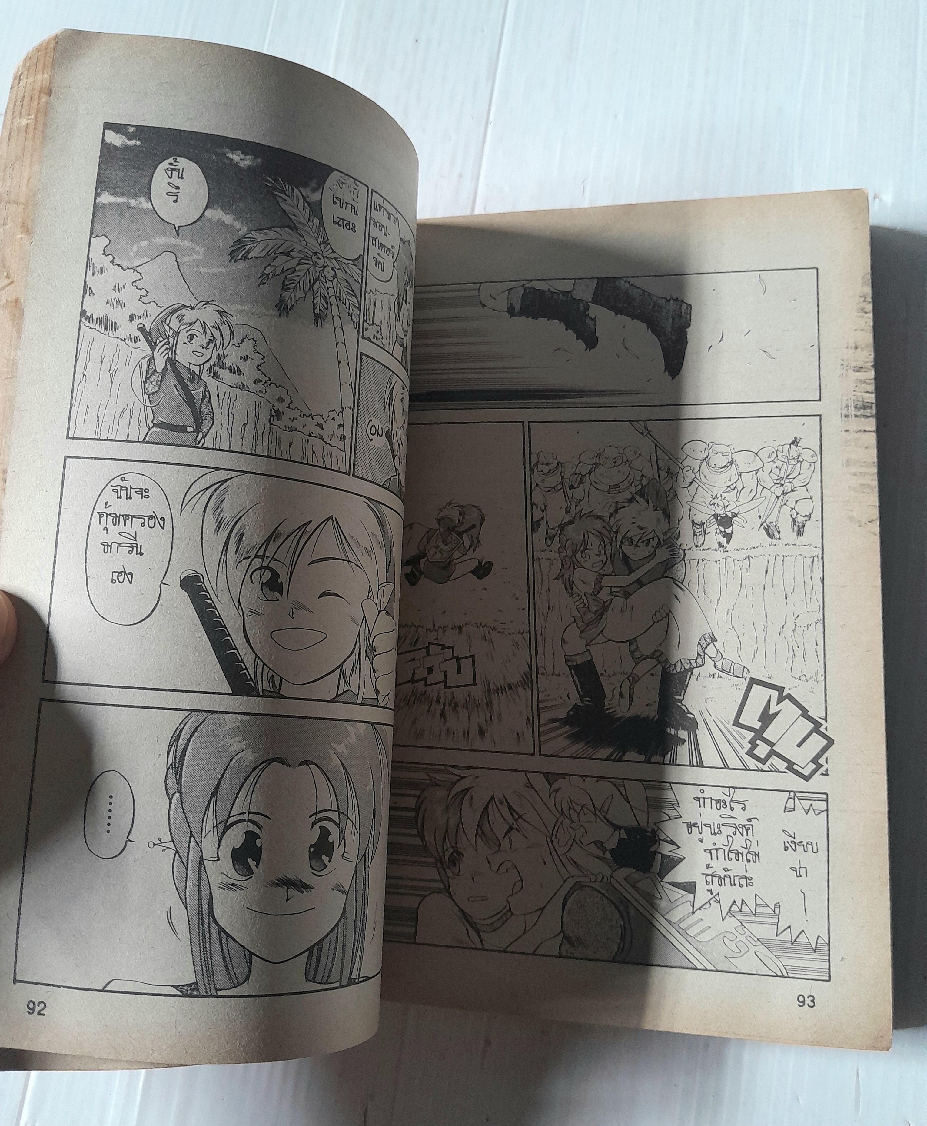 ตำนานนักรบเชลด้า (เล่มเดียวจบ)