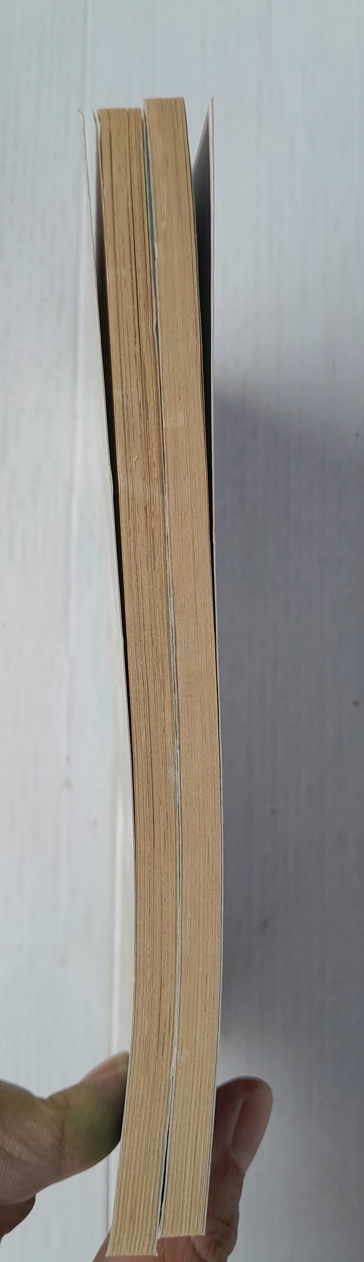 คำสาปมาร (2 เล่มจบ) / Omi Ayuko