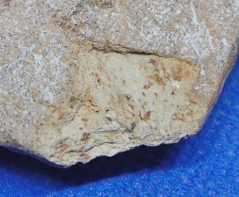 พระนาดูน