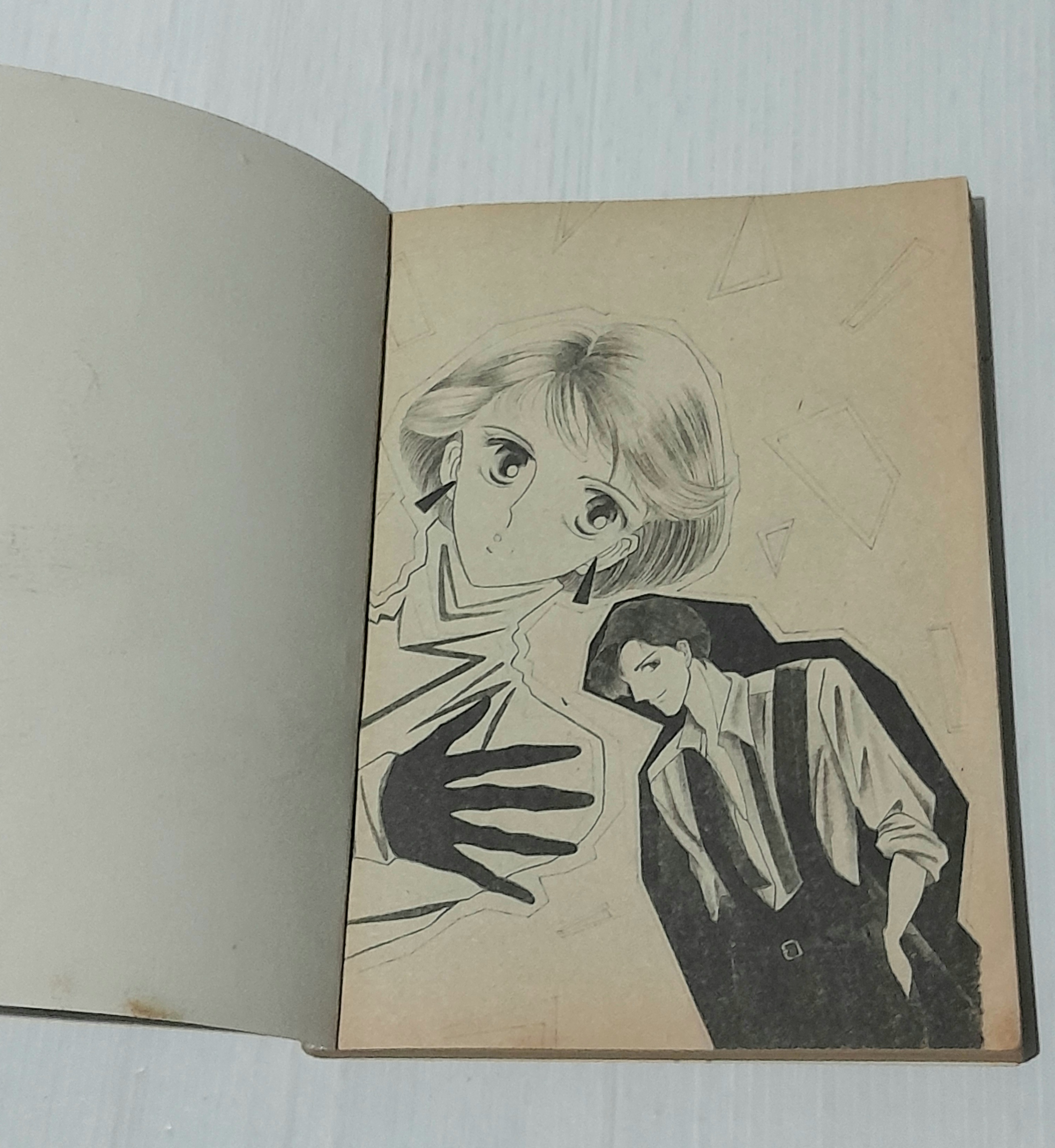 แฟนรับจ้าง (เล่มเดียวจบ) / Natsue Ogoshi