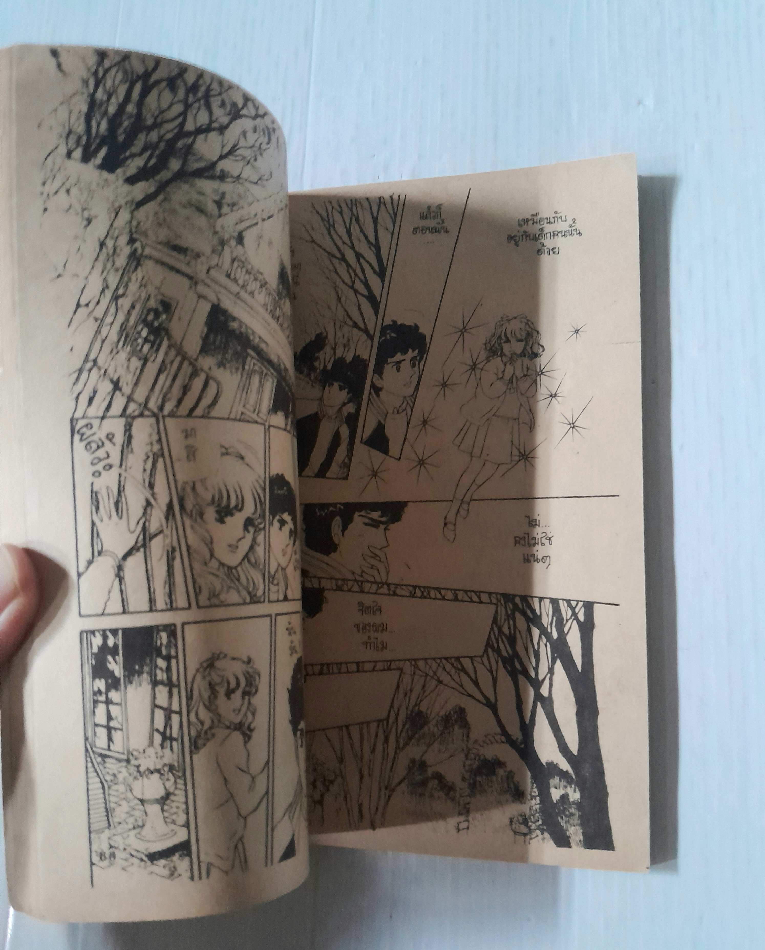 วิญญาณร้ายในสวน (เล่มเดียวจบ) / Kazama Hiroko