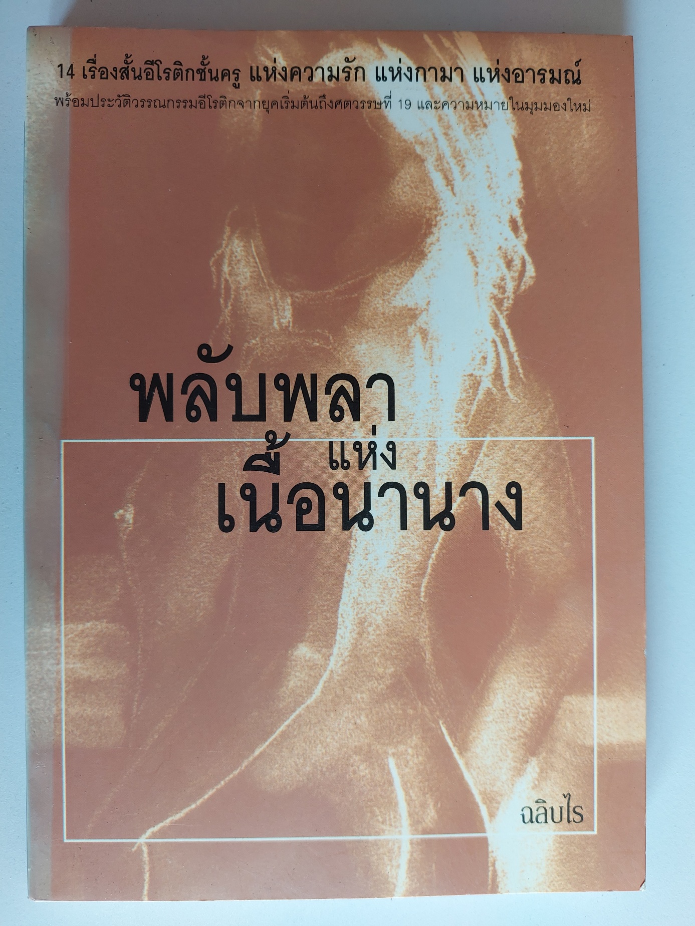 พลับพลาแห่งเนื้อนานาง / หลายคนเขียน / ฉลิบไร