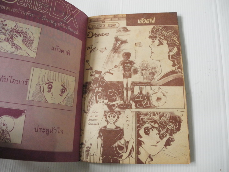 แก้วตาพี่ (เล่มเดียวจบ)