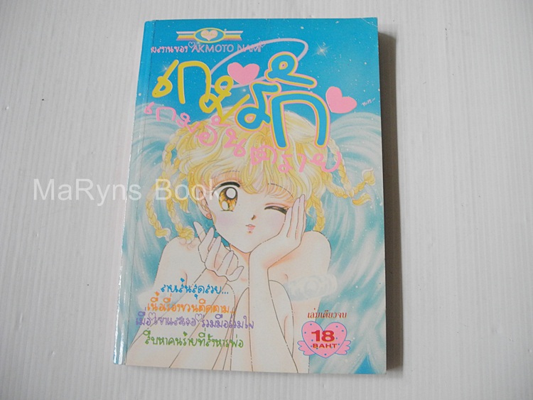เกมรักเกมอันตราย (เล่มเดียวจบ) / Nami Akimoto
