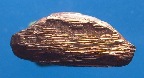 หลวงปู่อ่อน พุทธสโก