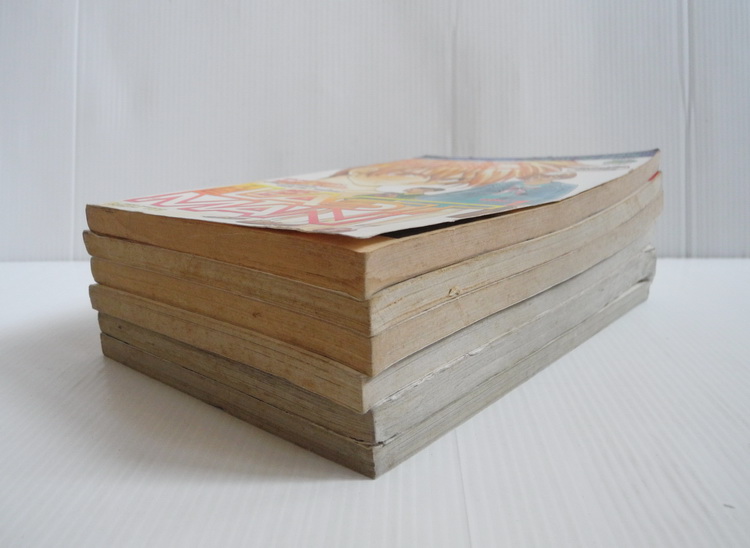 The last man เล่ม 1-6