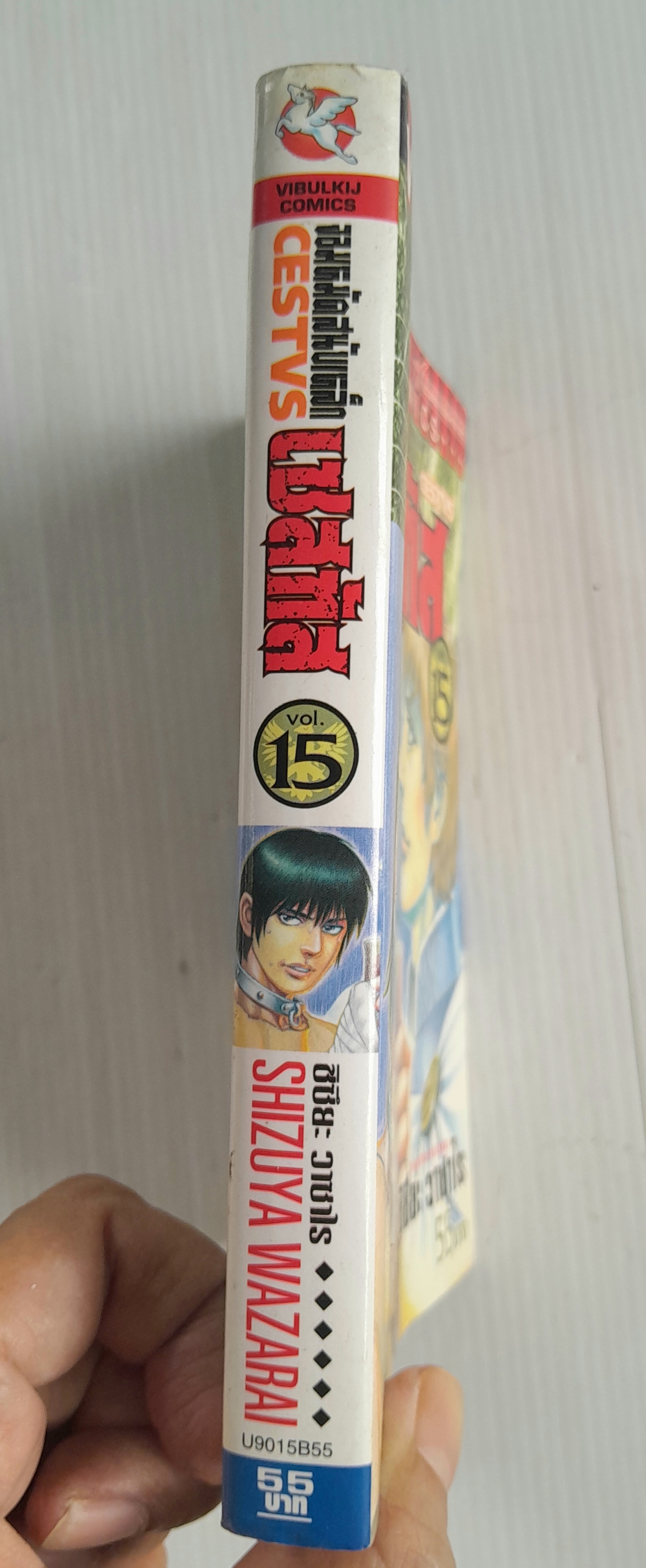 จอมหมัดสนับเหล็ก เซสทัส เล่ม 15 (15 เล่มจบ) / ชิซึระ วาซาไร