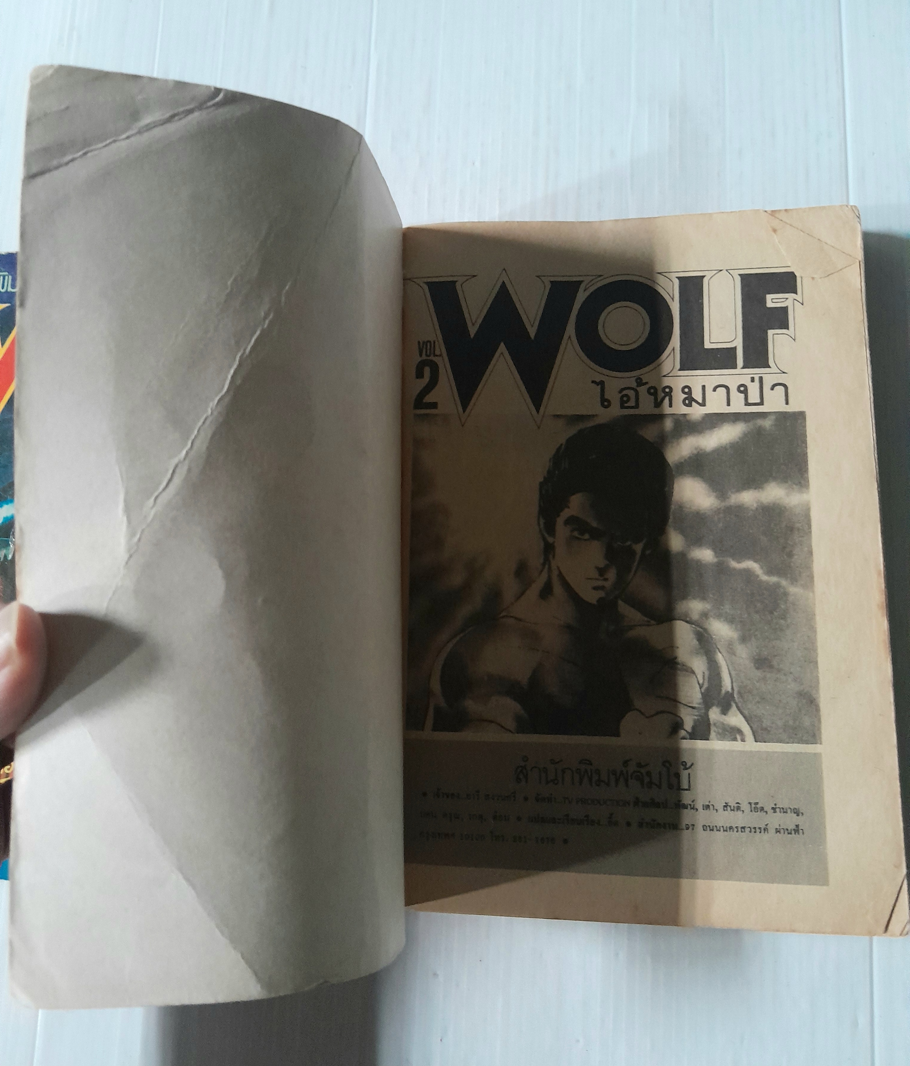 Wolf ไอ้หมาป่า 2 เล่มจบ / อิเคงามิ เรียวอิจิ