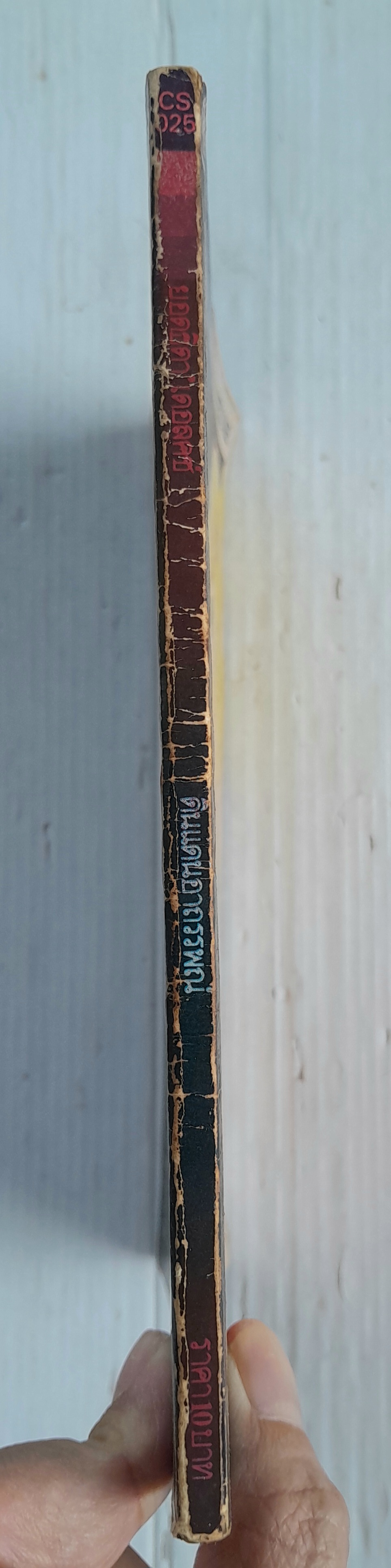 ดินแดนอาถรรพณ์ (เล่มเดียวจบ) / ทากาชินะ เรียวโกะ