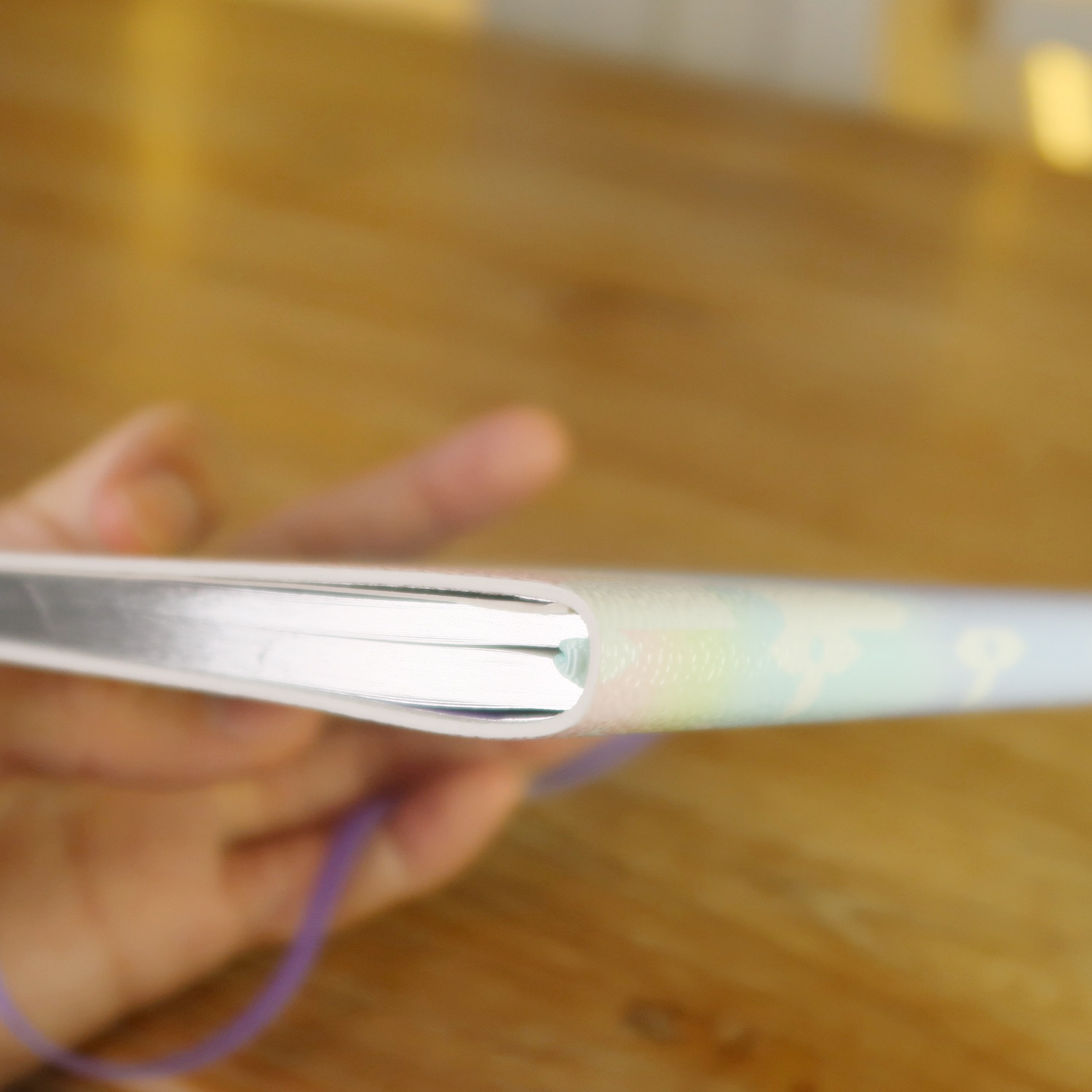 Louis Vuitton Giant Monogram Pastel Escale Note Book