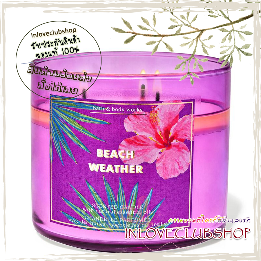 Bath & Body Works Slatkin & Co / Candle 14.5 oz. (Beach Weather) *sundried sandalwood, island coconut, breezy palm trees and crashing waves.