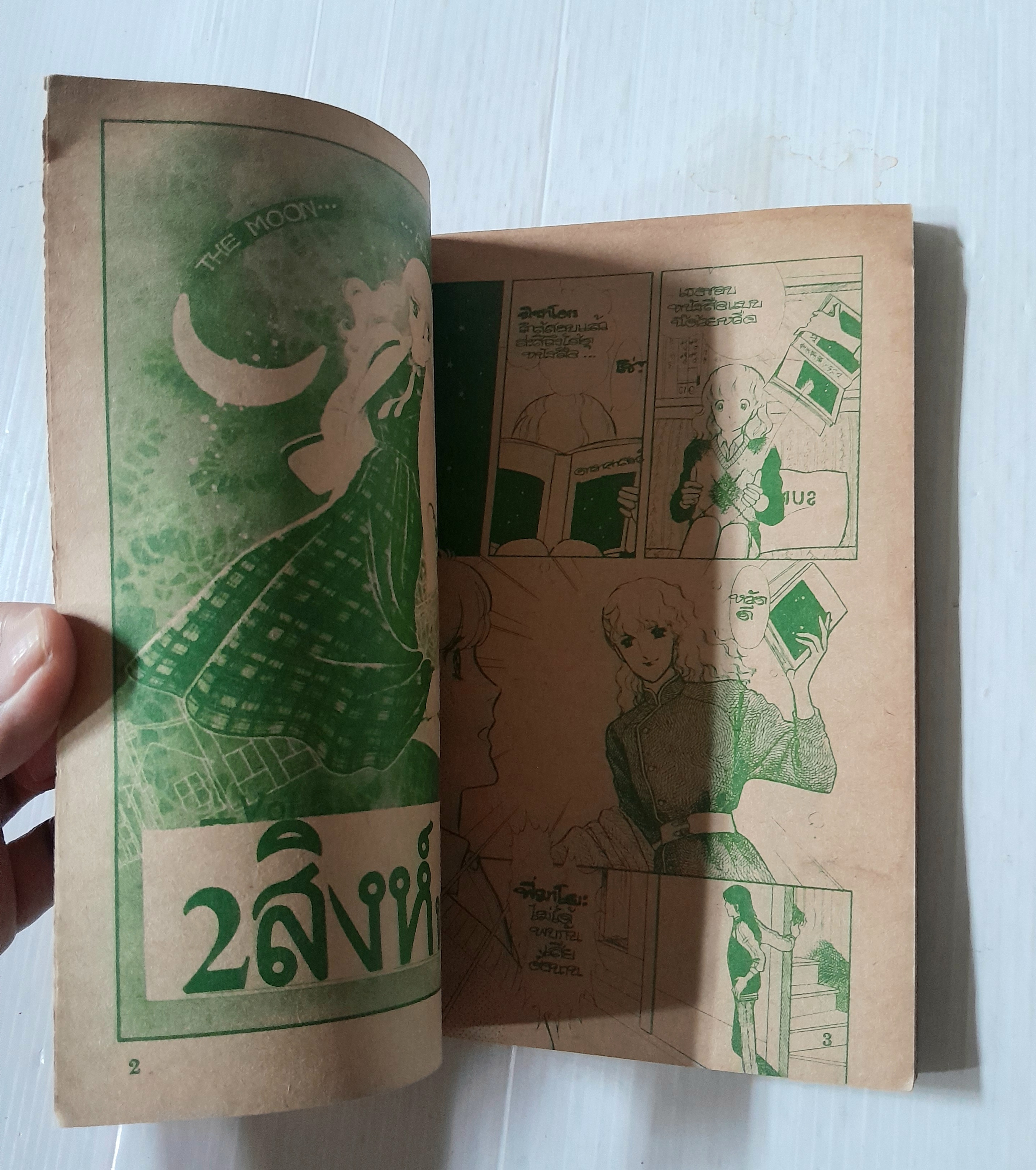 2 สิงห์จอมทะเล้น เล่ม 2 (3 เล่มจบ)